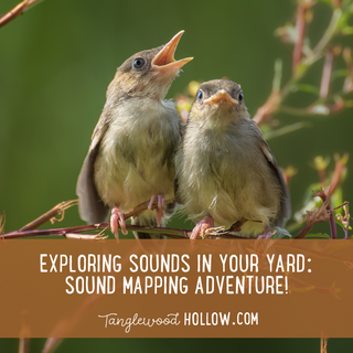 EXPLORING SOUNDS IN YOUR YARD: SOUND MAPPING ADVENTURE!