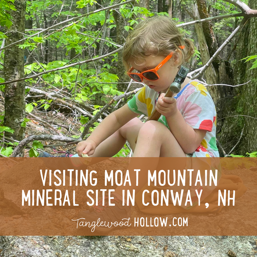 EXPLORING MOAT MOUNTAIN MINERAL SITE: A ROCKHOUNDING ADVENTURE FOR KIDS