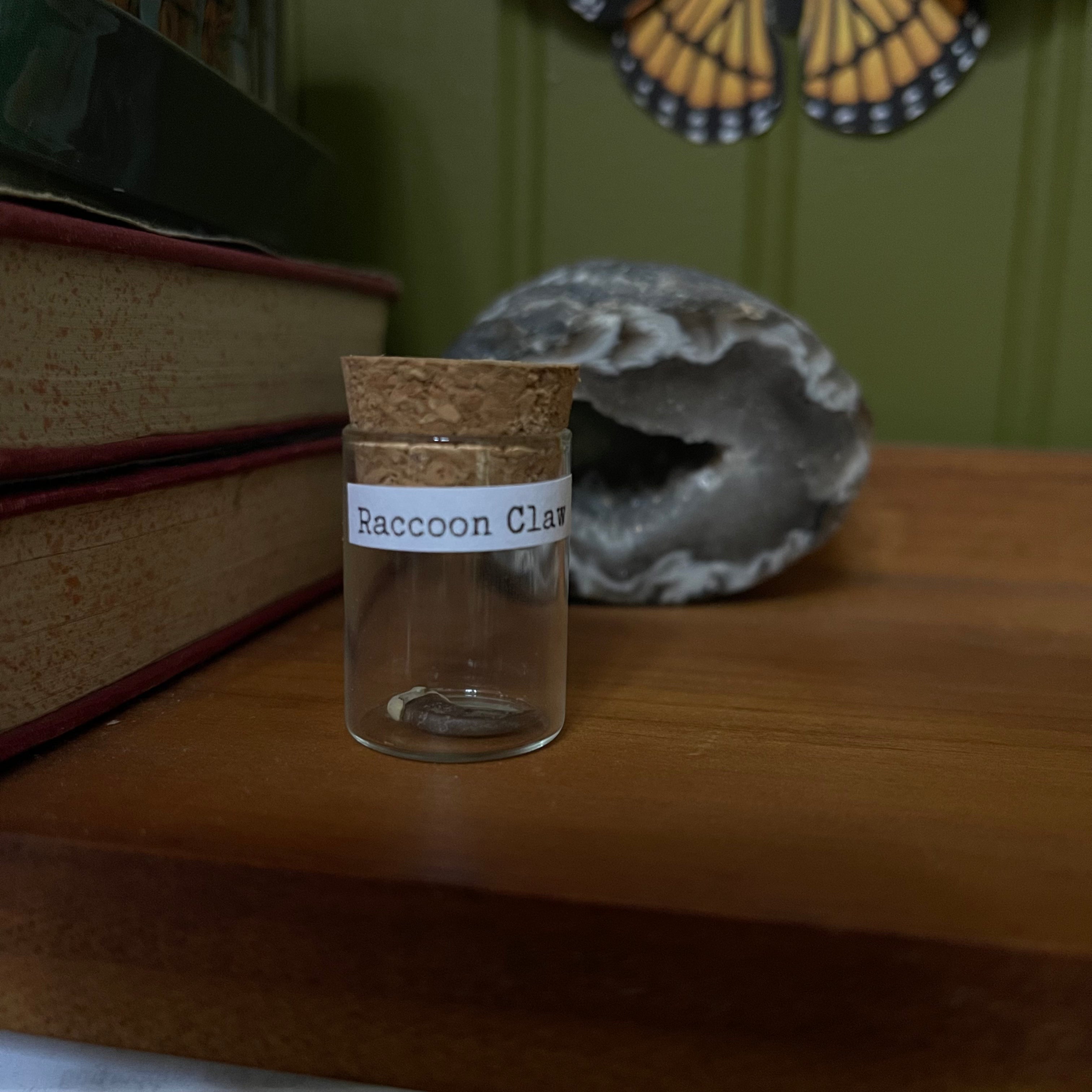 Raccoon Claw in Glass Vial