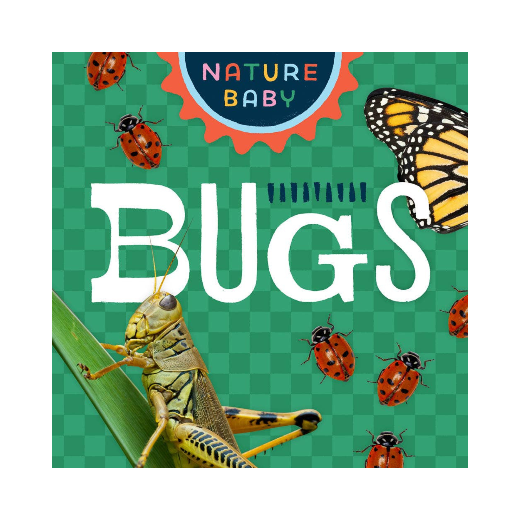 Nature Baby: Bugs