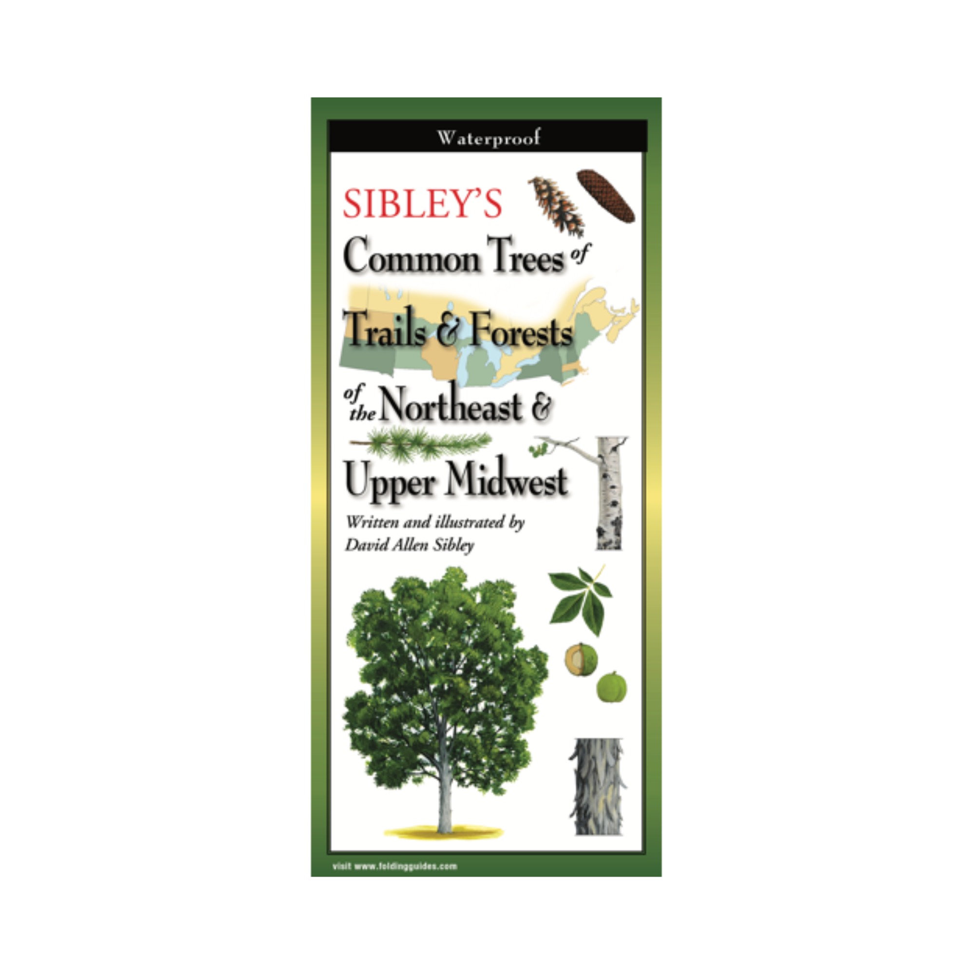 Sibley's Trees of Trails and Forests of the NE & U. MW