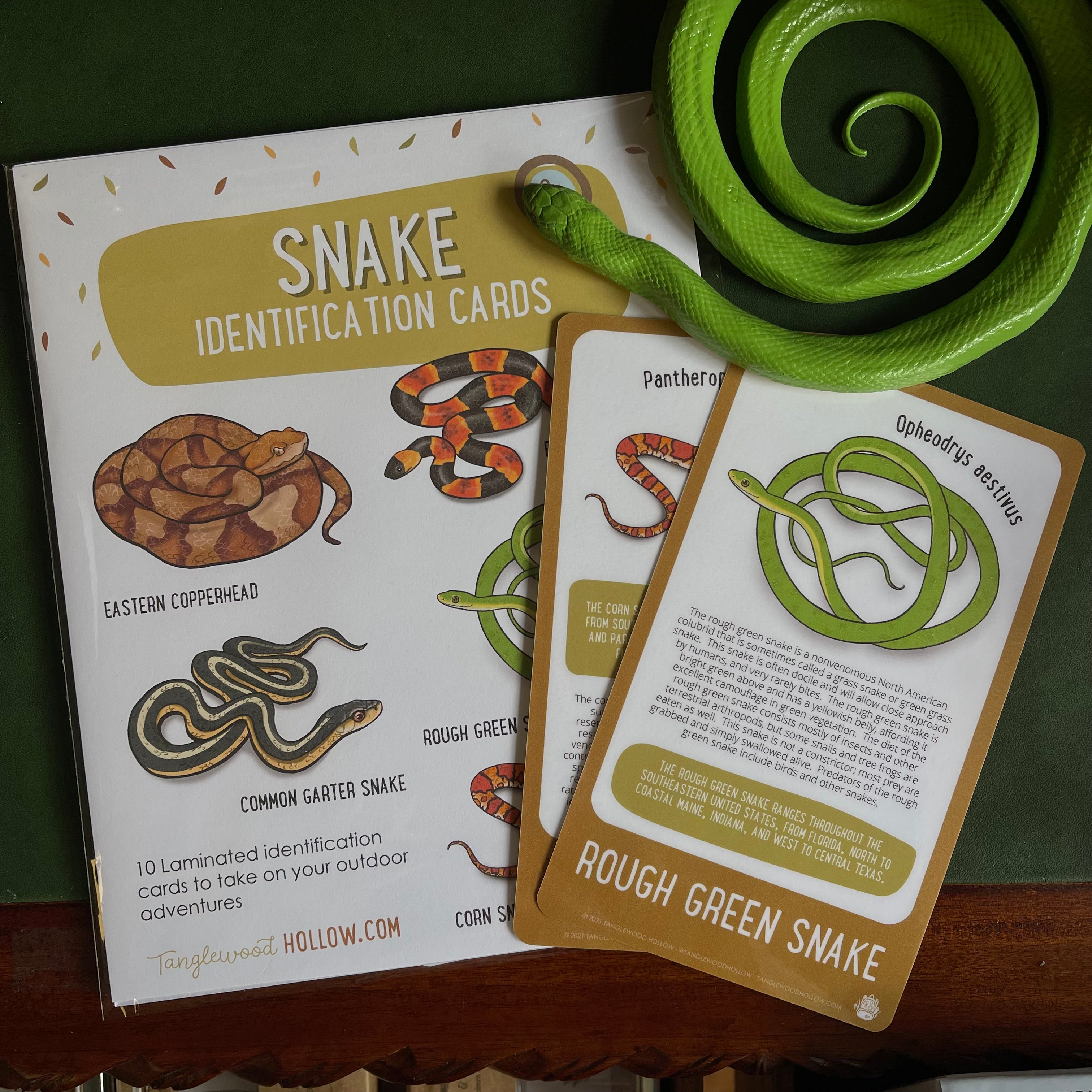 Snake Identification Cards
