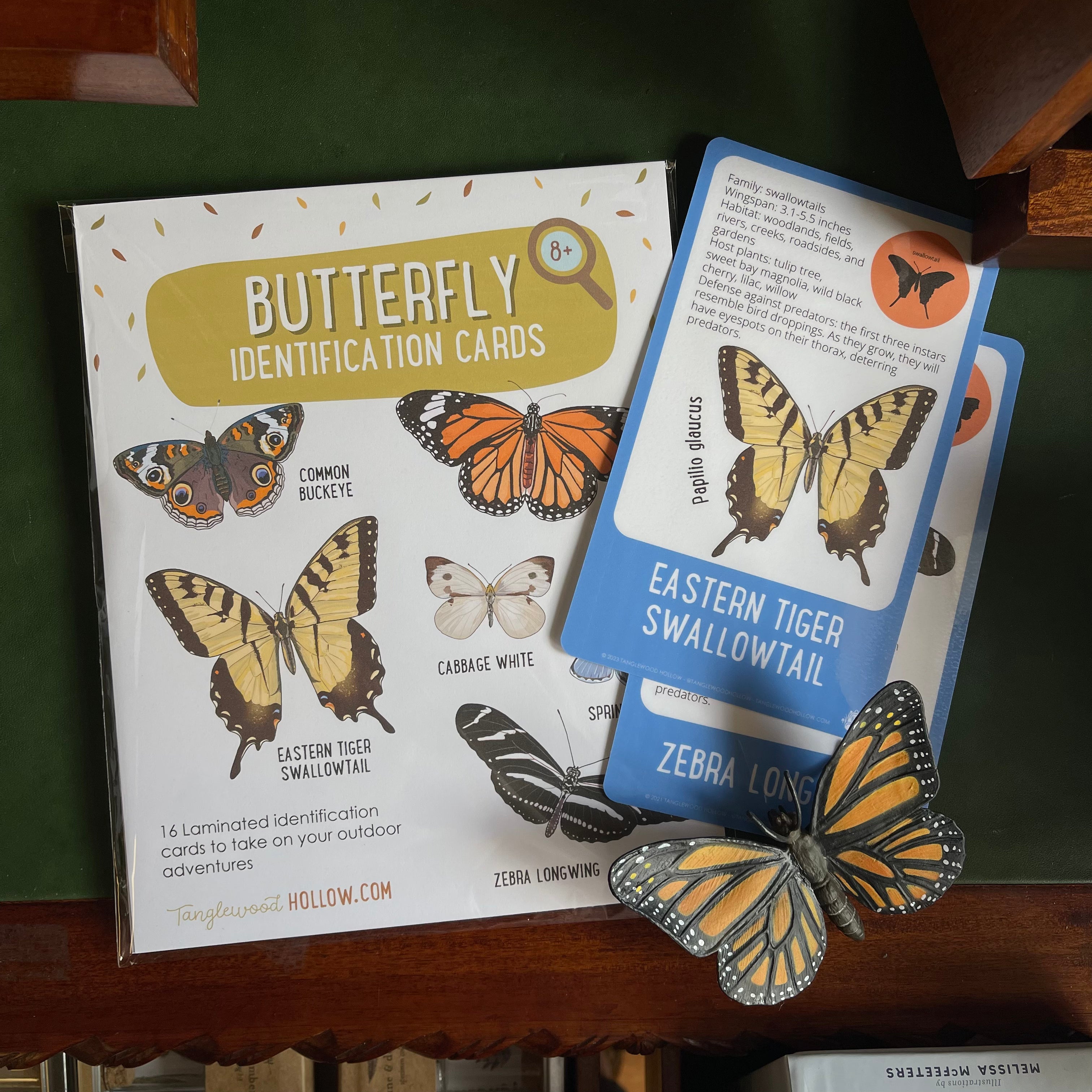 Butterfly Identification Cards