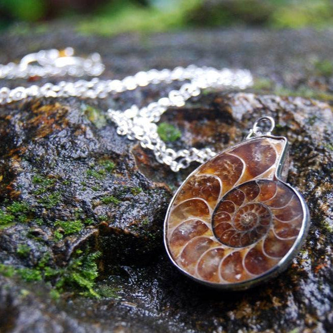 18" Ammonite Fossil Shell Necklace