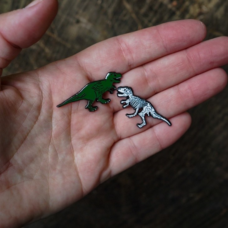 T. Rex & Fossil Pin Set
