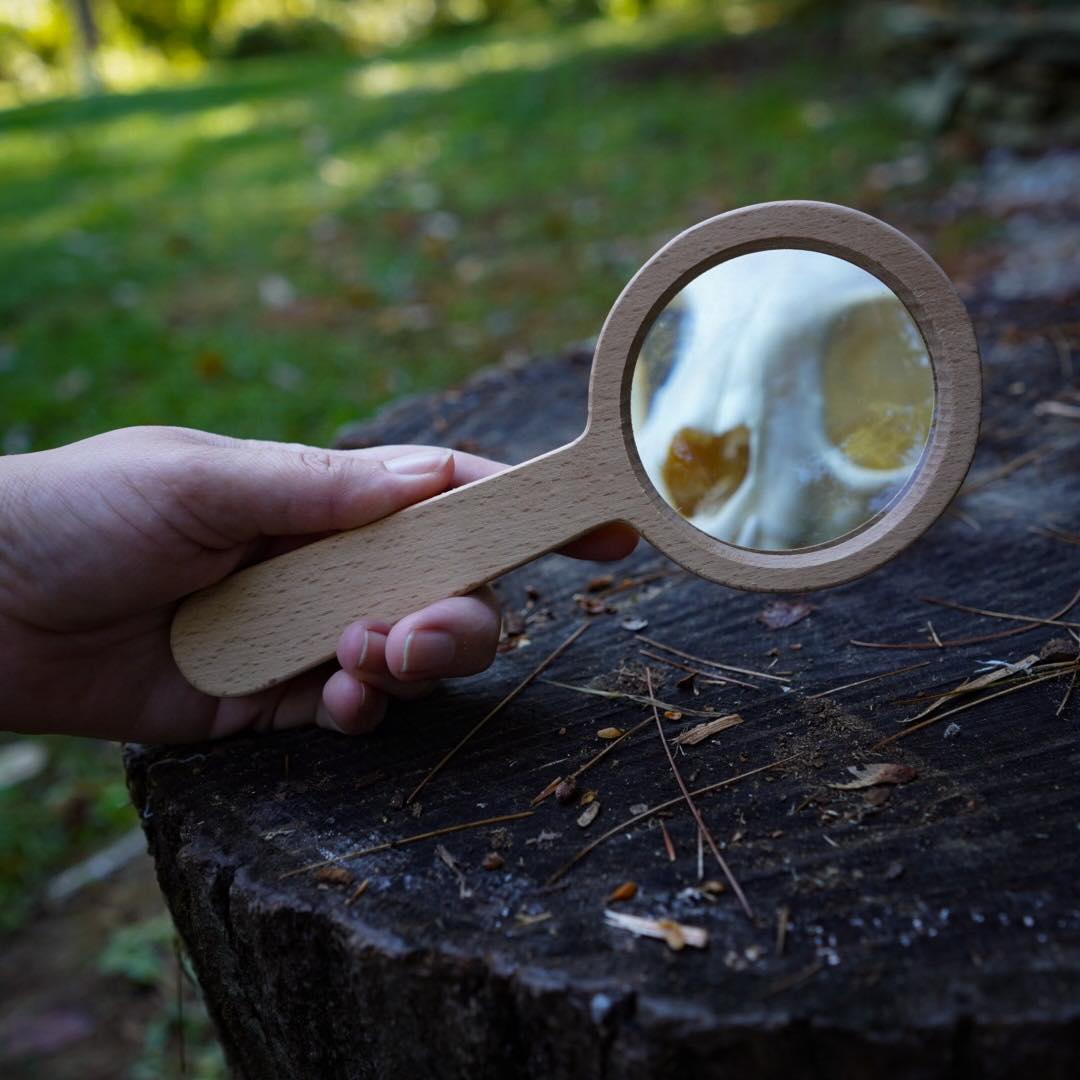 Wooden Magnifier