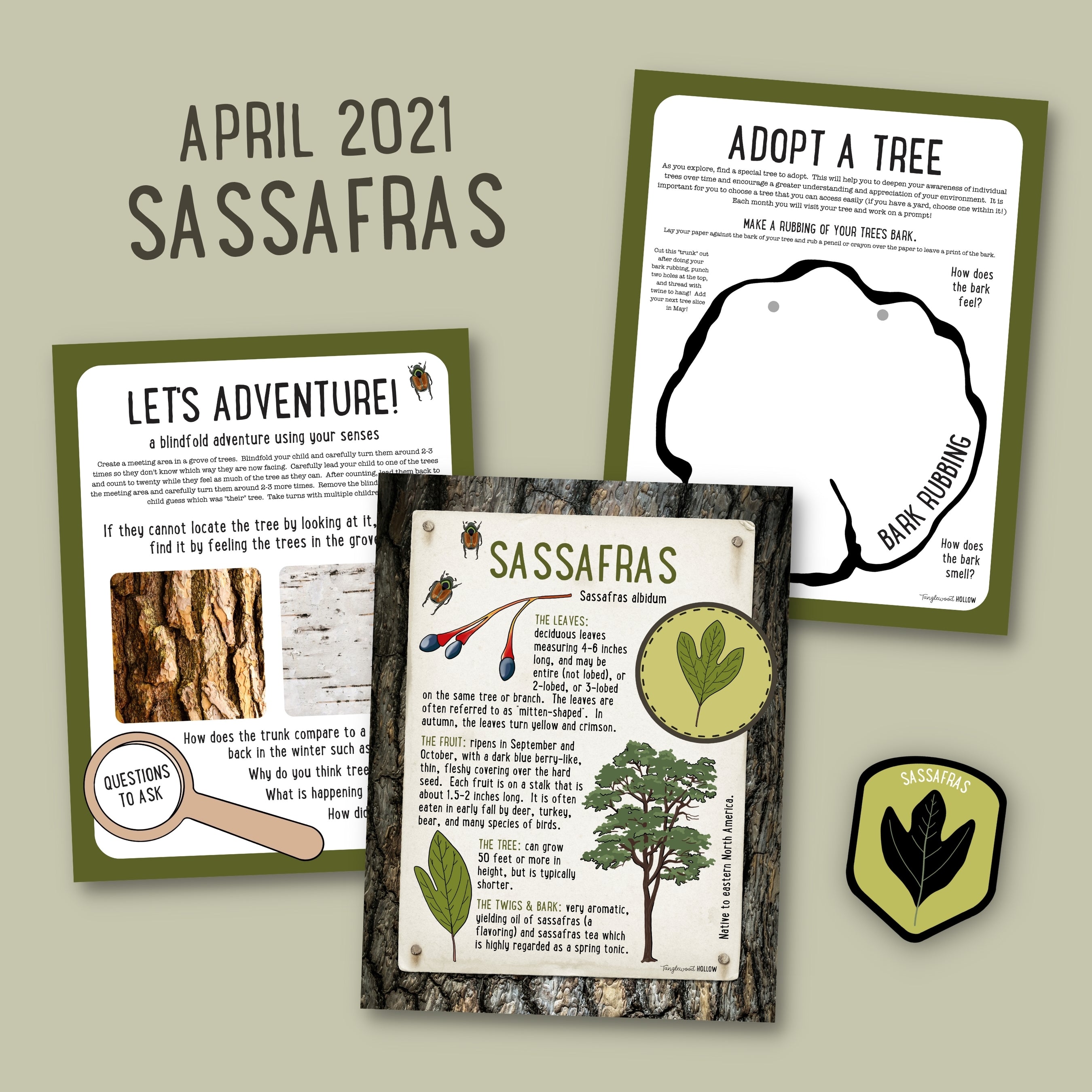 Sassafras - A Digital Exploration