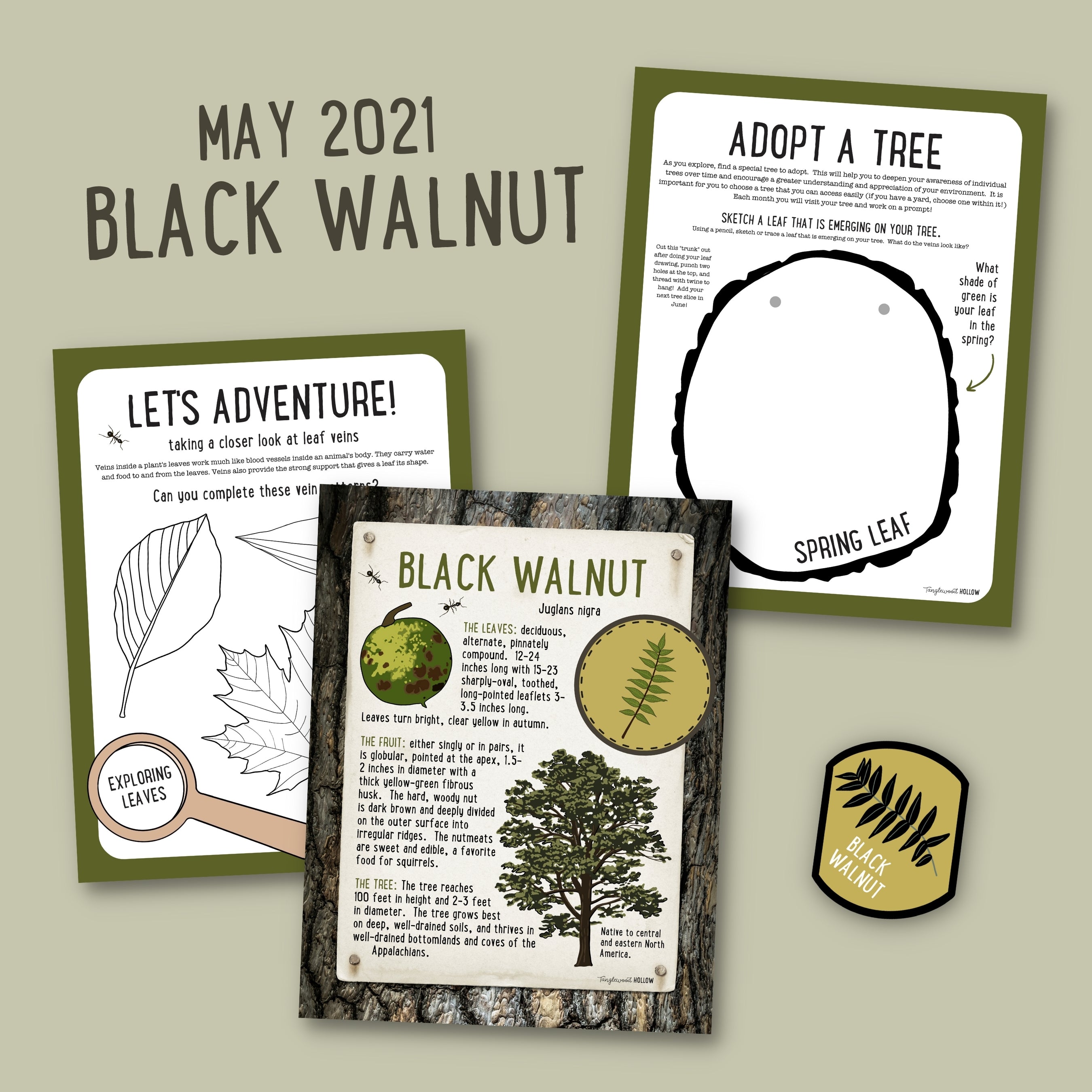 Exploring Black Walnut - A Digital Guide