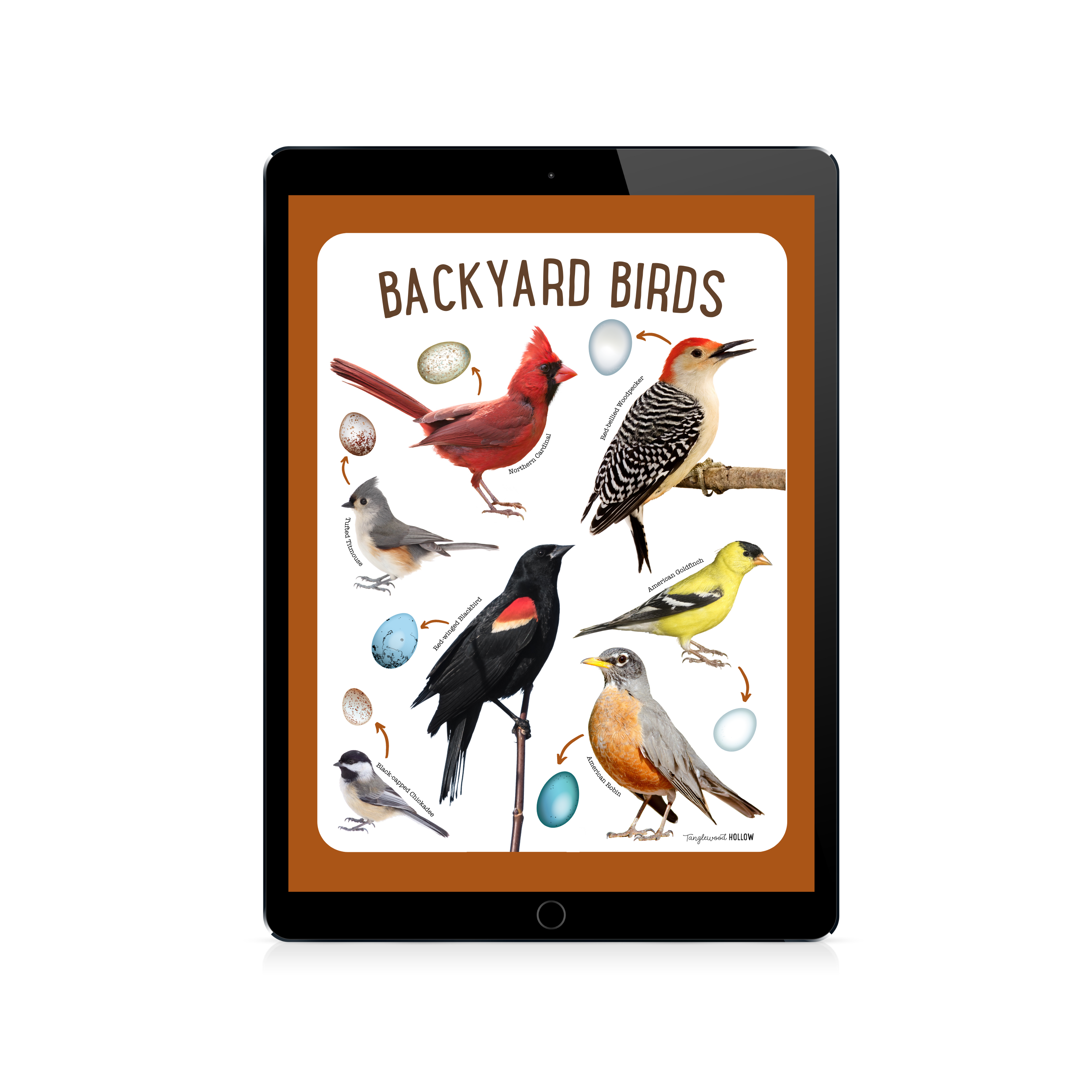 Digital Backyard Birds Art Poster