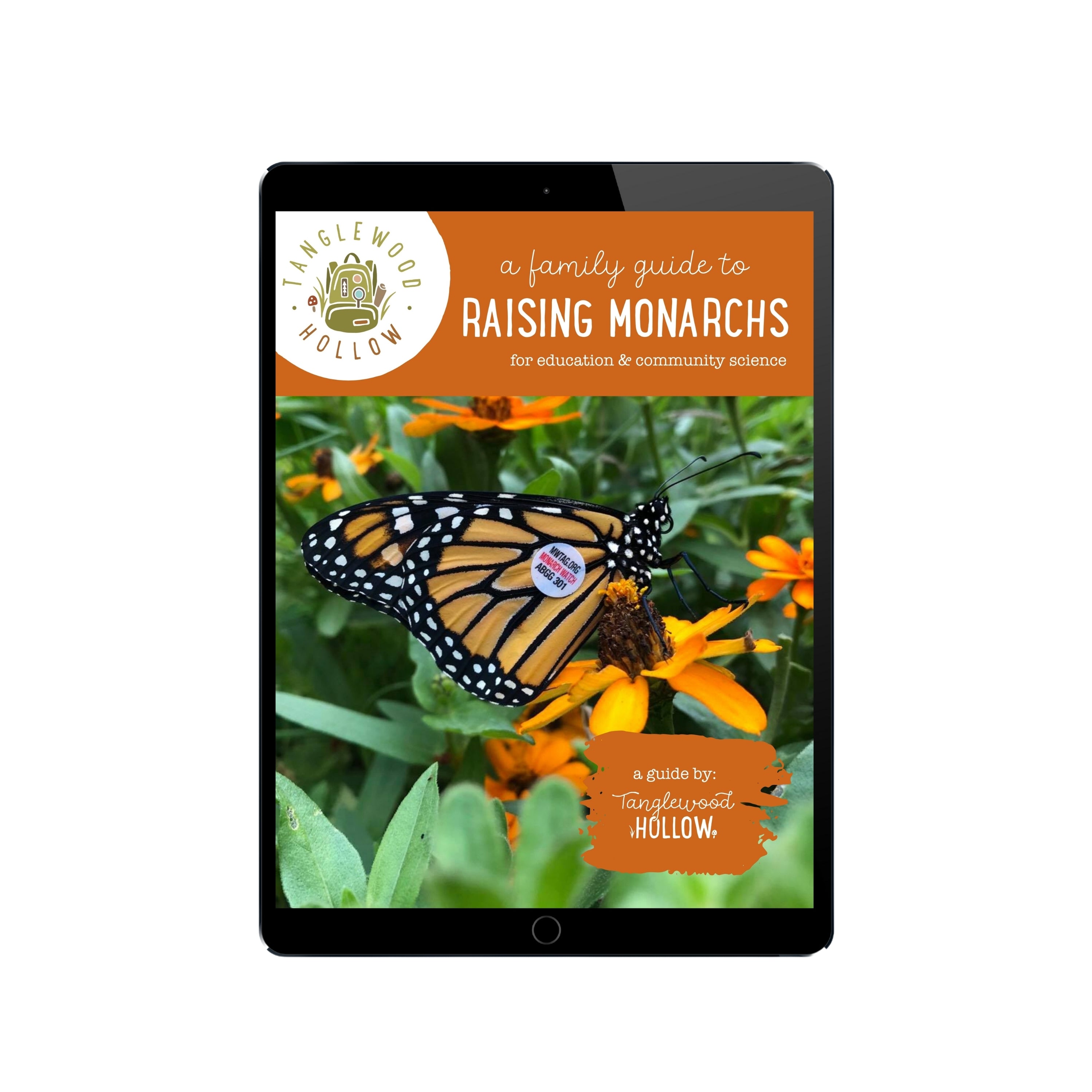 A Digital Guide to Raising Monarchs for Education and Community Science