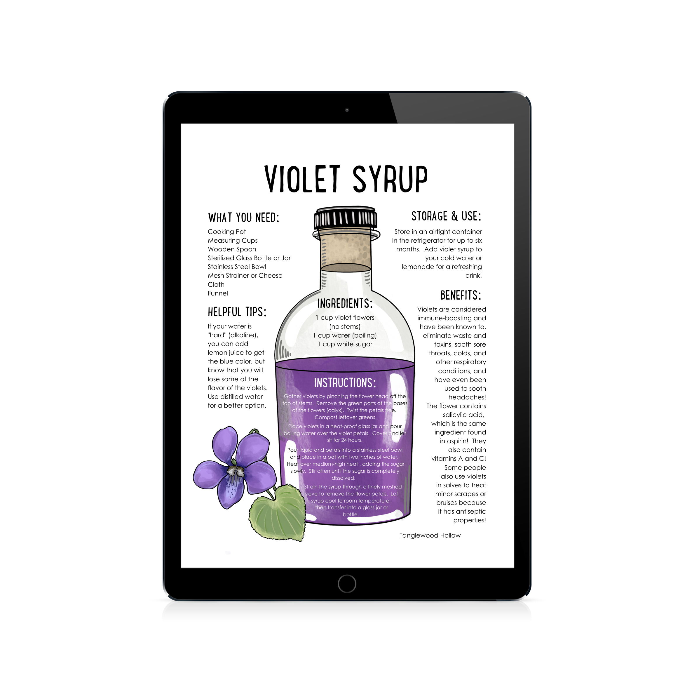 Digital Common Blue Violet Plant Study