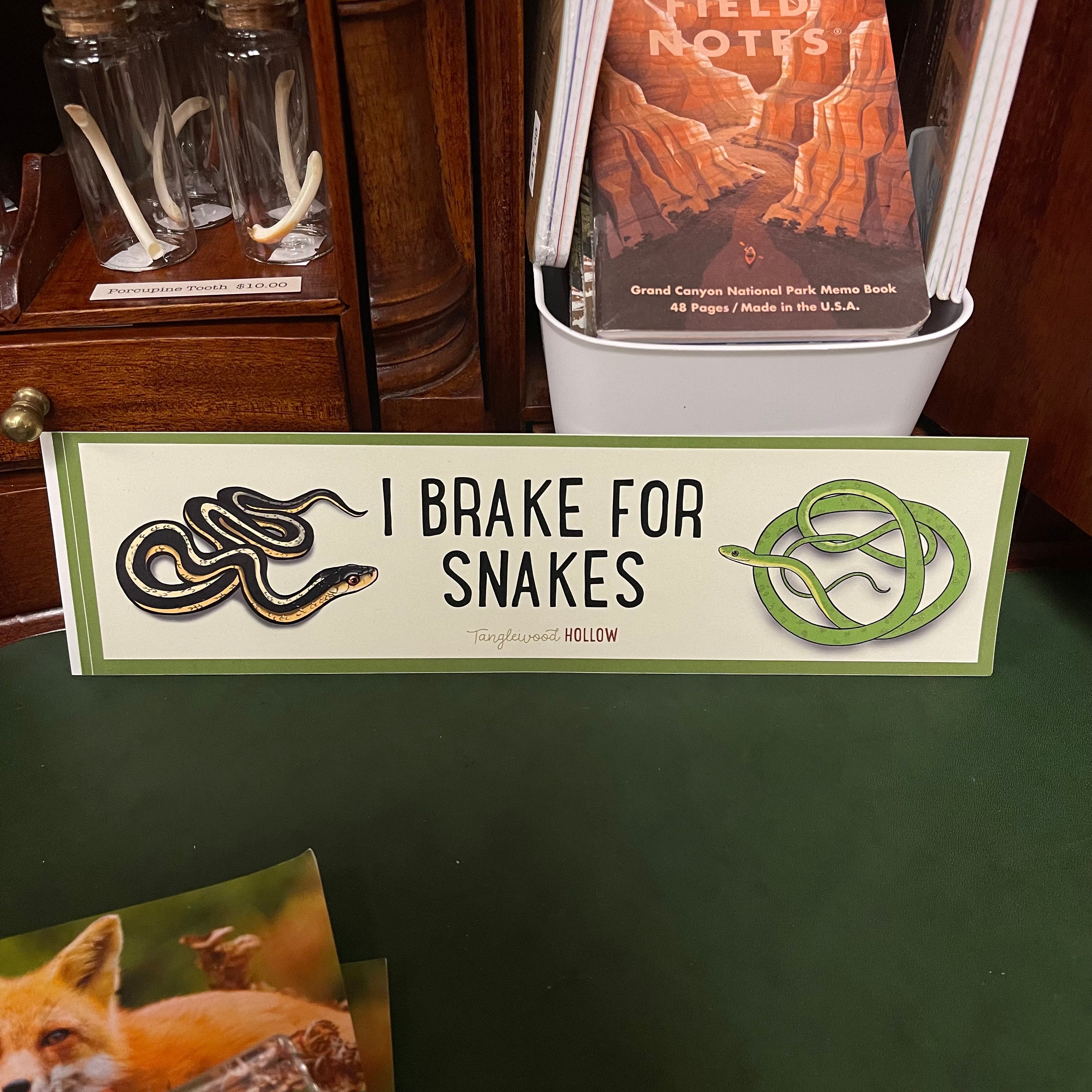 Snake Bumper Sticker