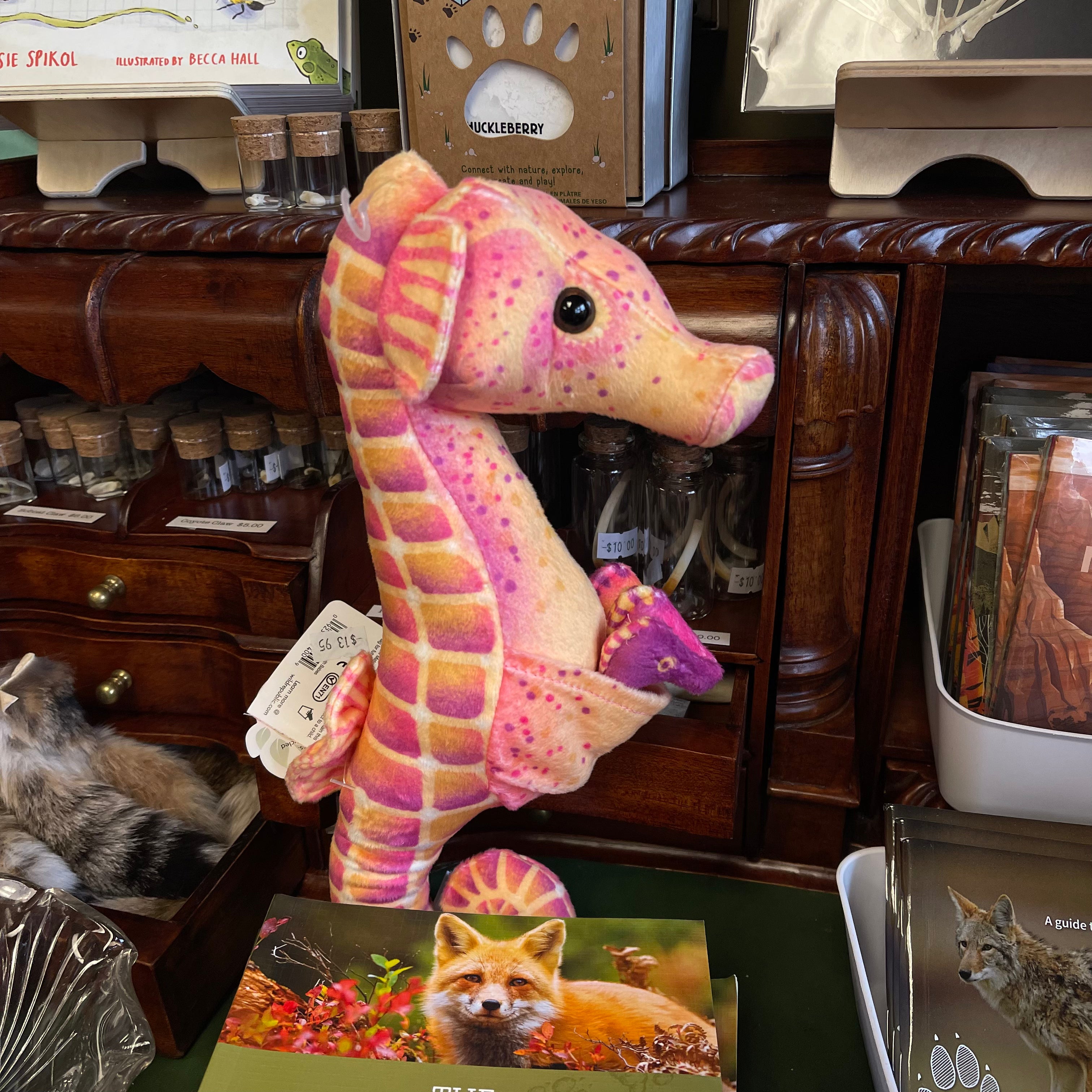 Wild republic seahorse deals