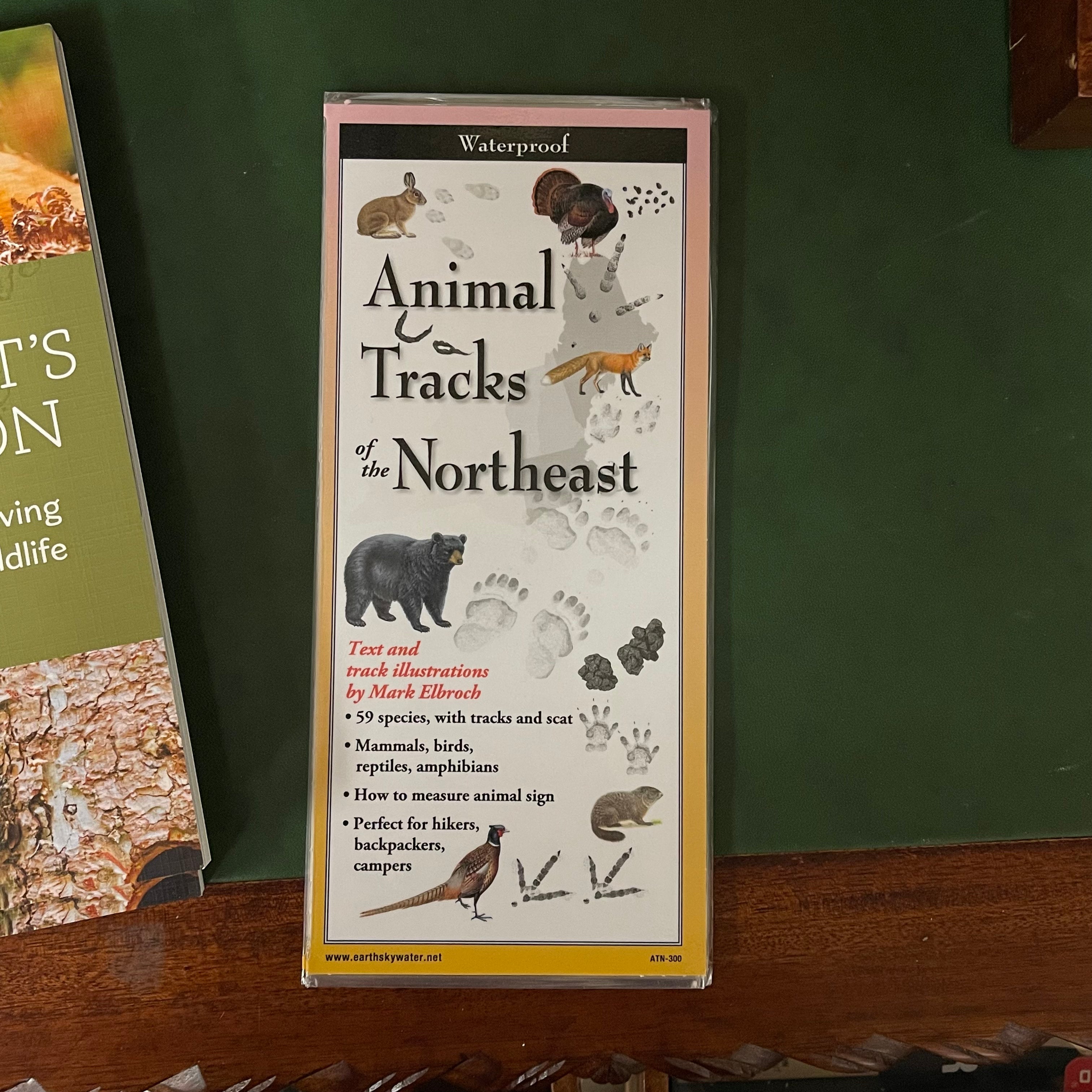 Identify Animal Tracks  Track Identification Chart - New England