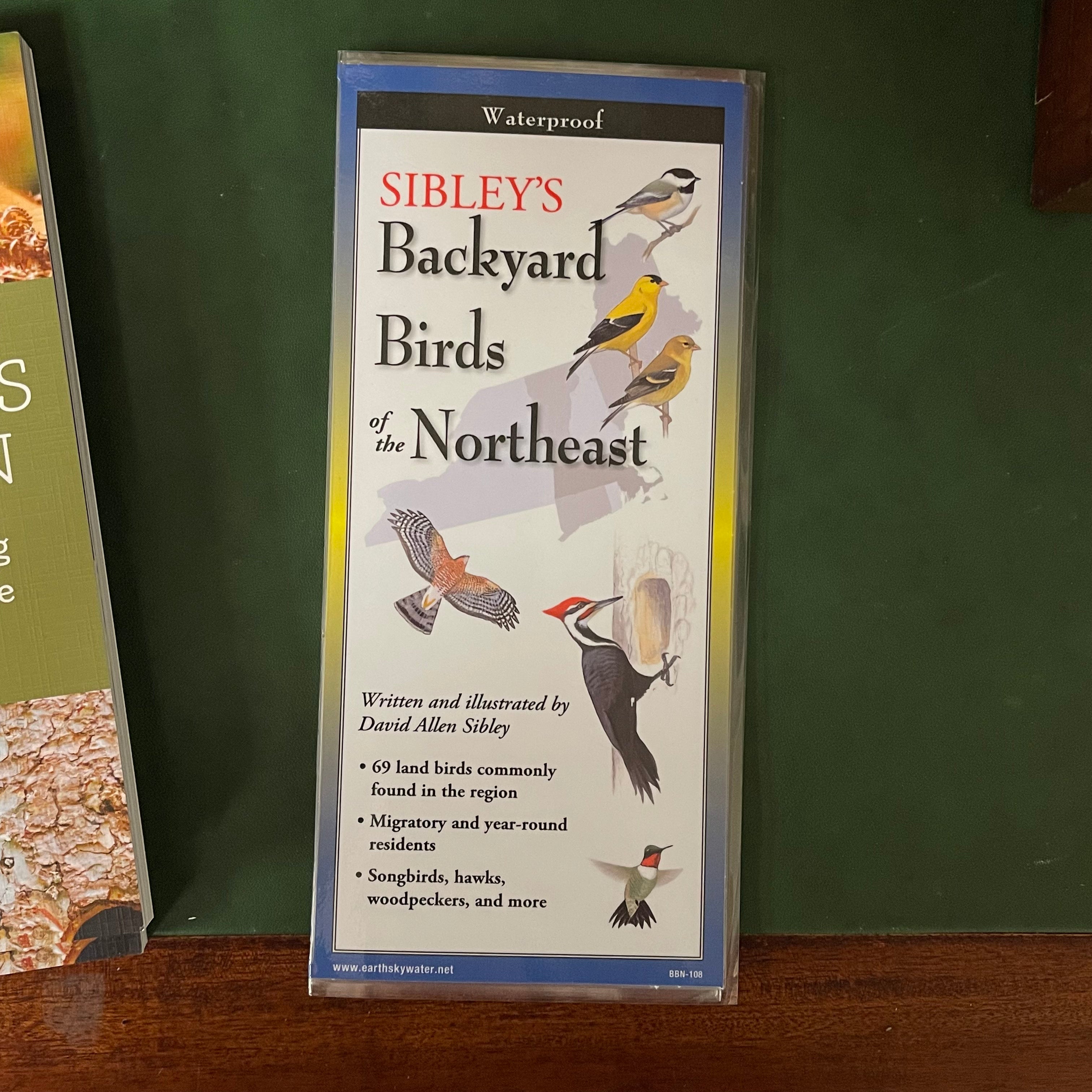 "Backyard Birds of the Northeast" Folding Guide