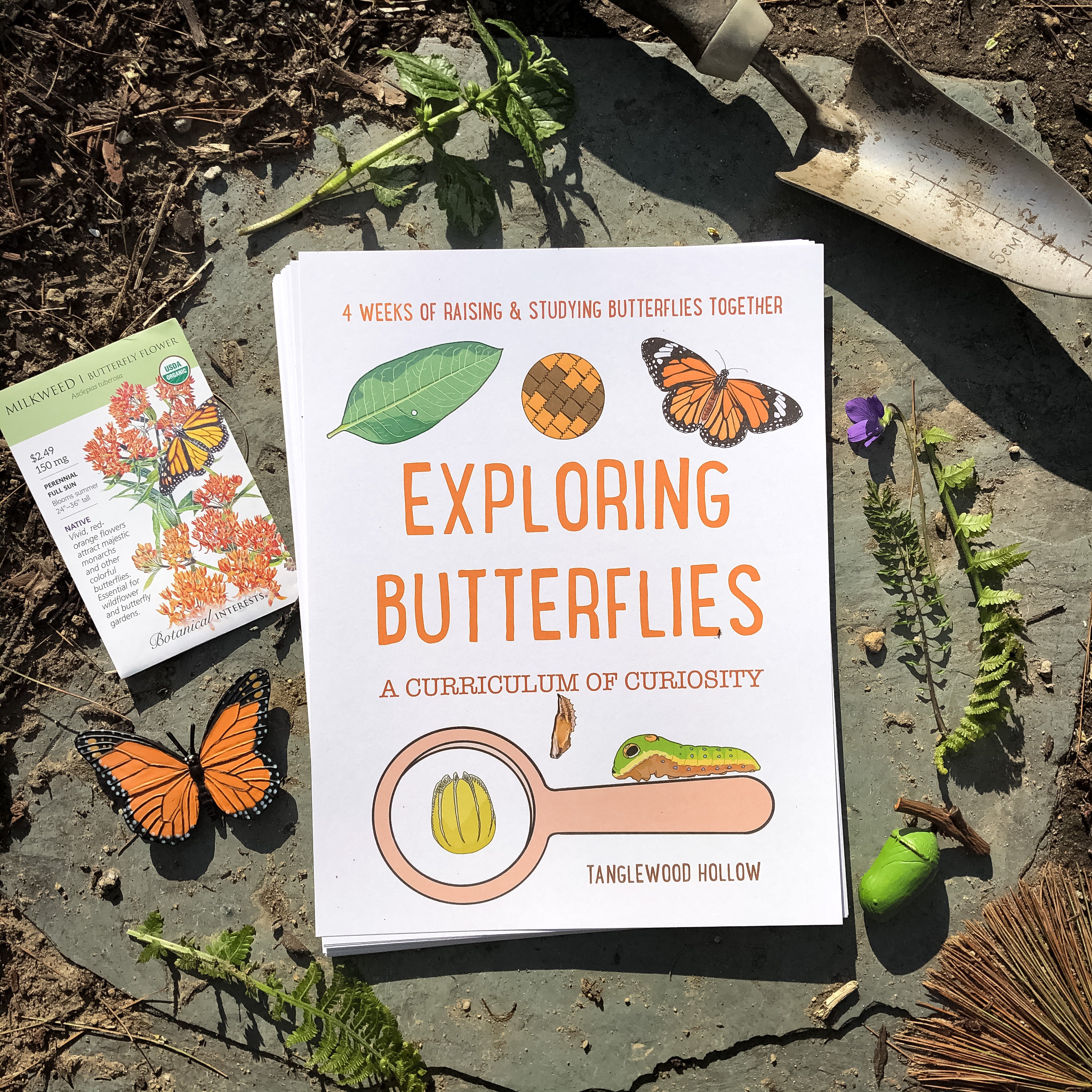 Exploring Butterflies: A Digital Curriculum of Curiosity