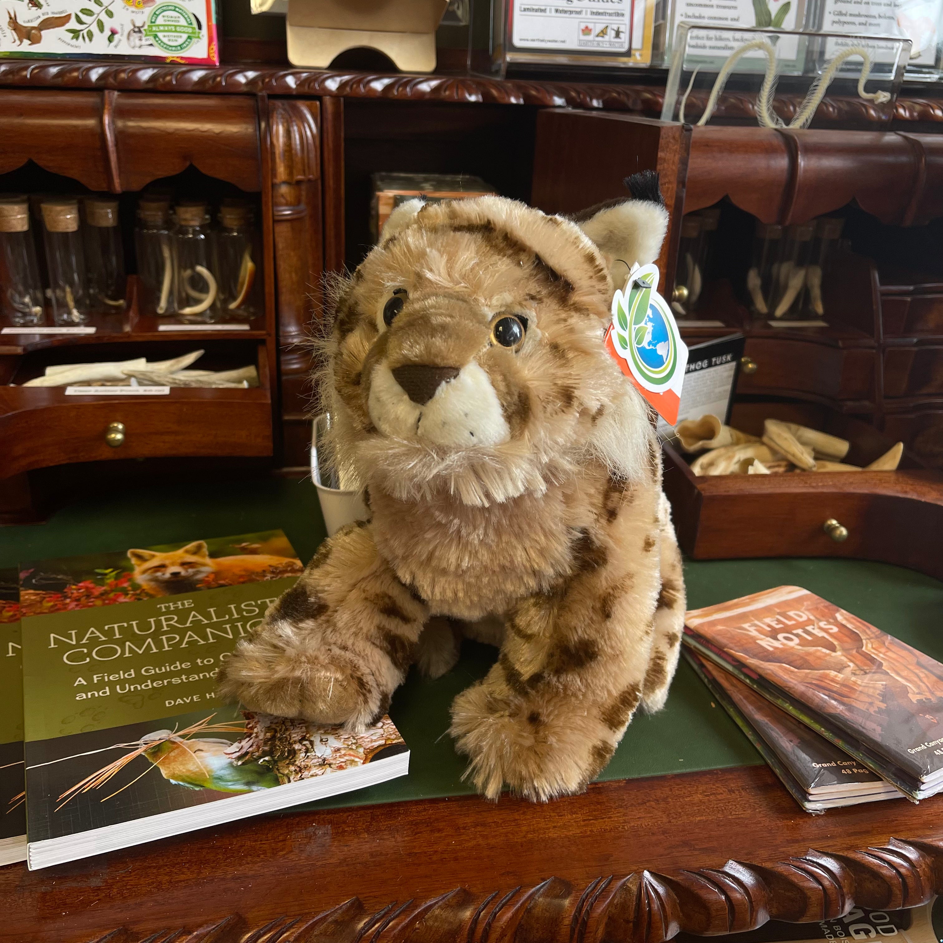 Wild 2024 republic lynx