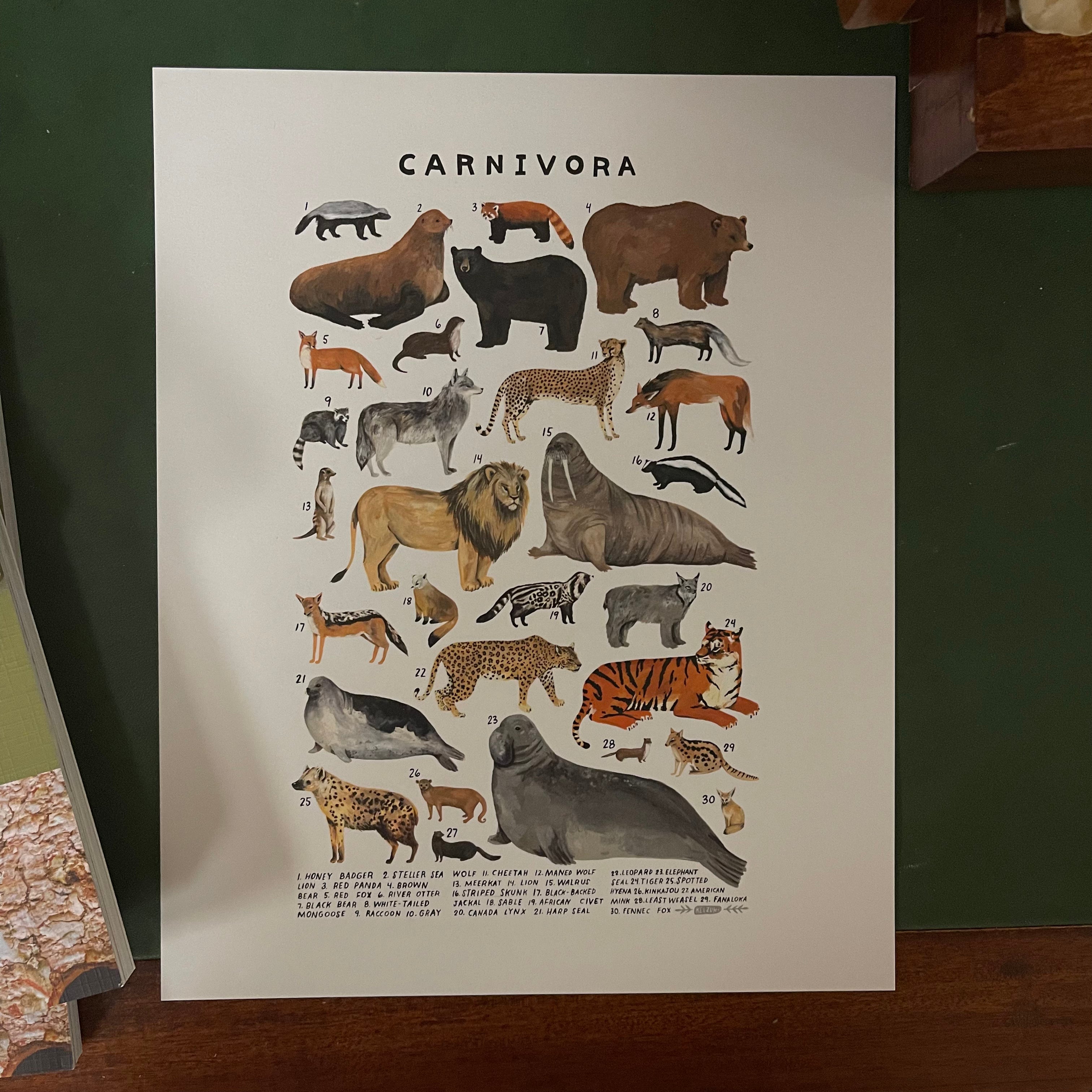 CARNIVORA: Vintage-Style Species Print