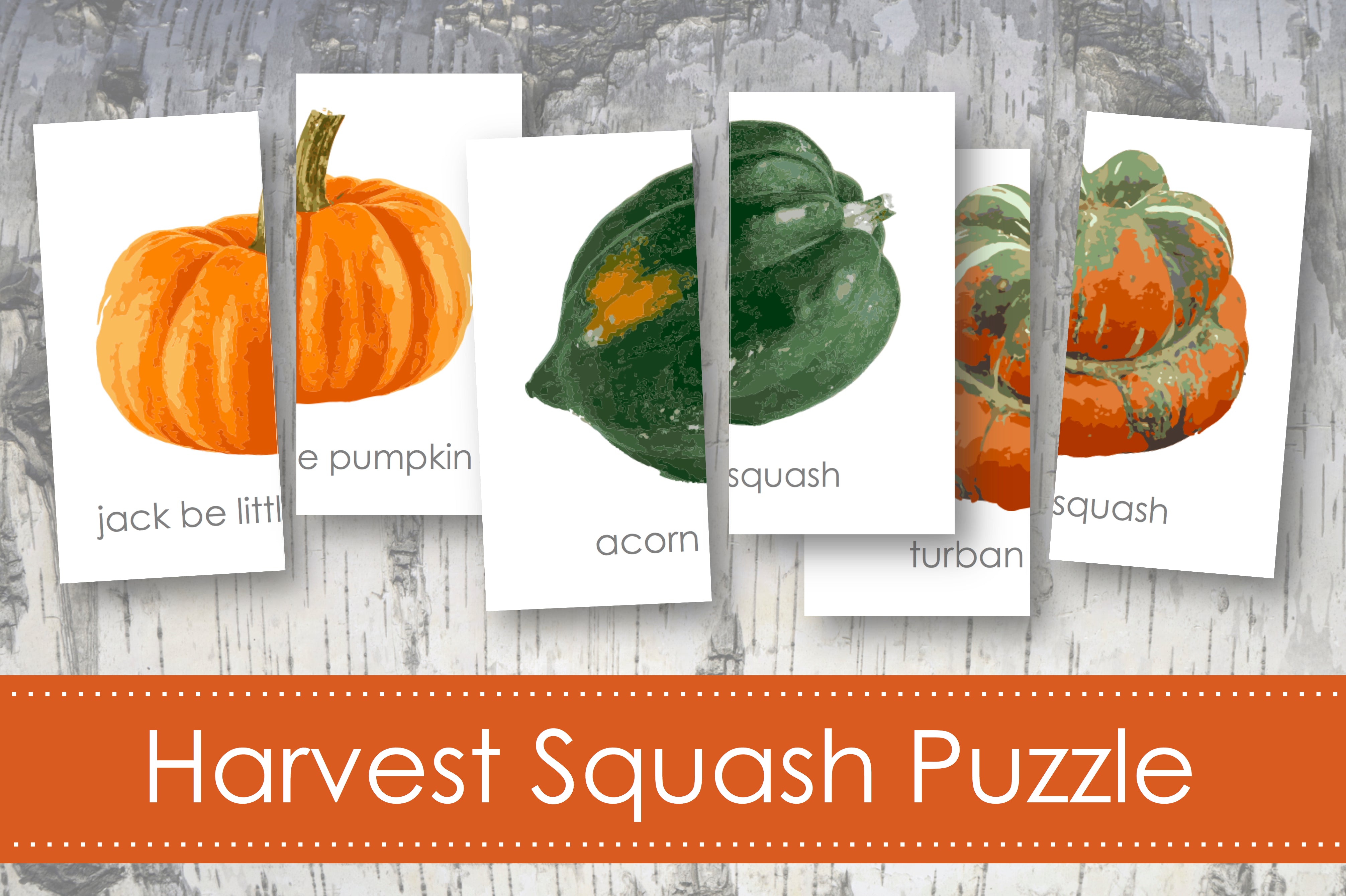 Printable Harvest Squash Puzzle