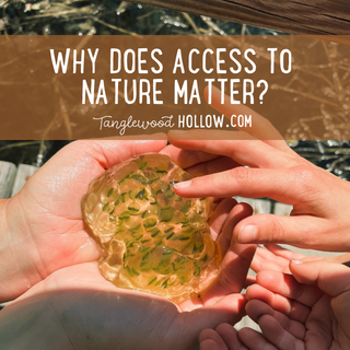WHY DOES ACCESS TO NATURE MATTER?