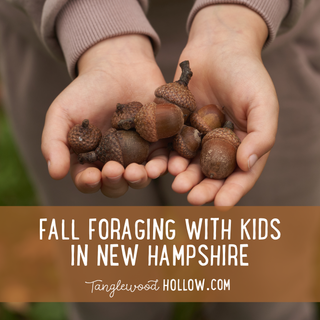 FORAGING WITH KIDS: WHAT YOU CAN SAFELY GATHER IN NEW HAMPSHIRE THIS FALL