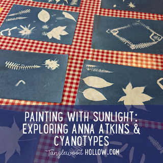 PAINTING WITH SUNLIGHT: ANNA ATKINS, CYANOTYPES & THE BEAUTY OF BOTANICAL PHOTOGRAPHY