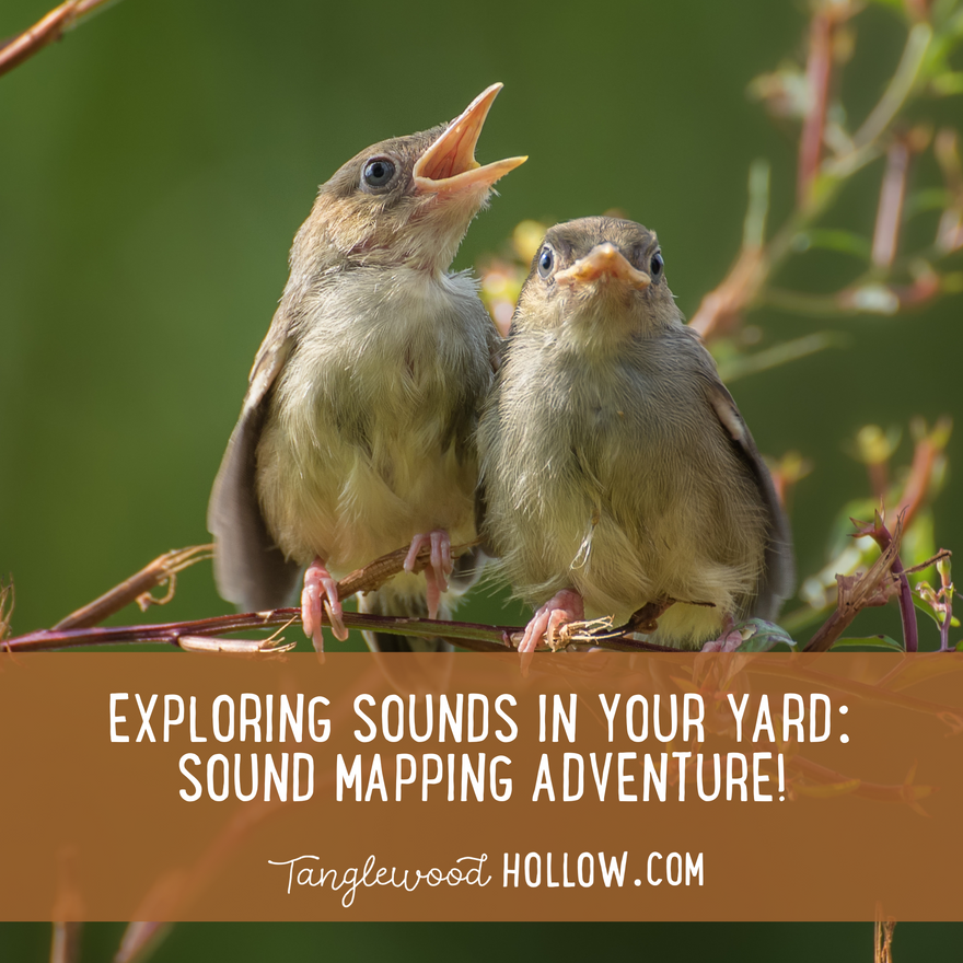 EXPLORING SOUNDS IN YOUR YARD: SOUND MAPPING ADVENTURE!