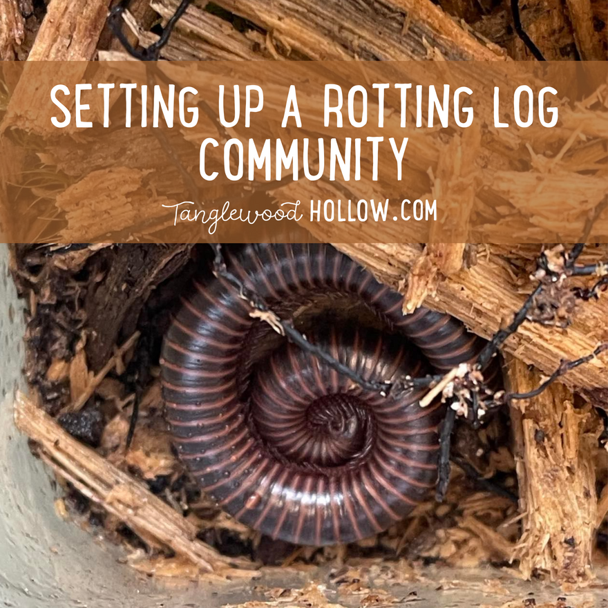 SETTING UP A ROTTING LOG COMMUNITY FOR SCIENCE