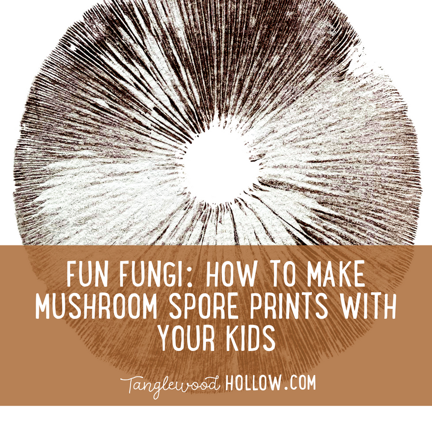 FUN FUNGI: HOW TO MAKE MUSHROOM SPORE PRINTS WITH YOUR KIDS