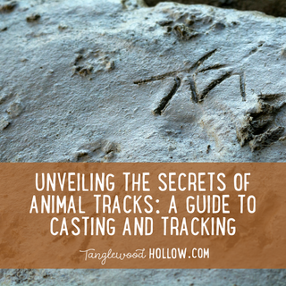 UNVEILING THE SECRETS OF ANIMAL TRACKS: A GUIDE TO CASTING AND TRACKING
