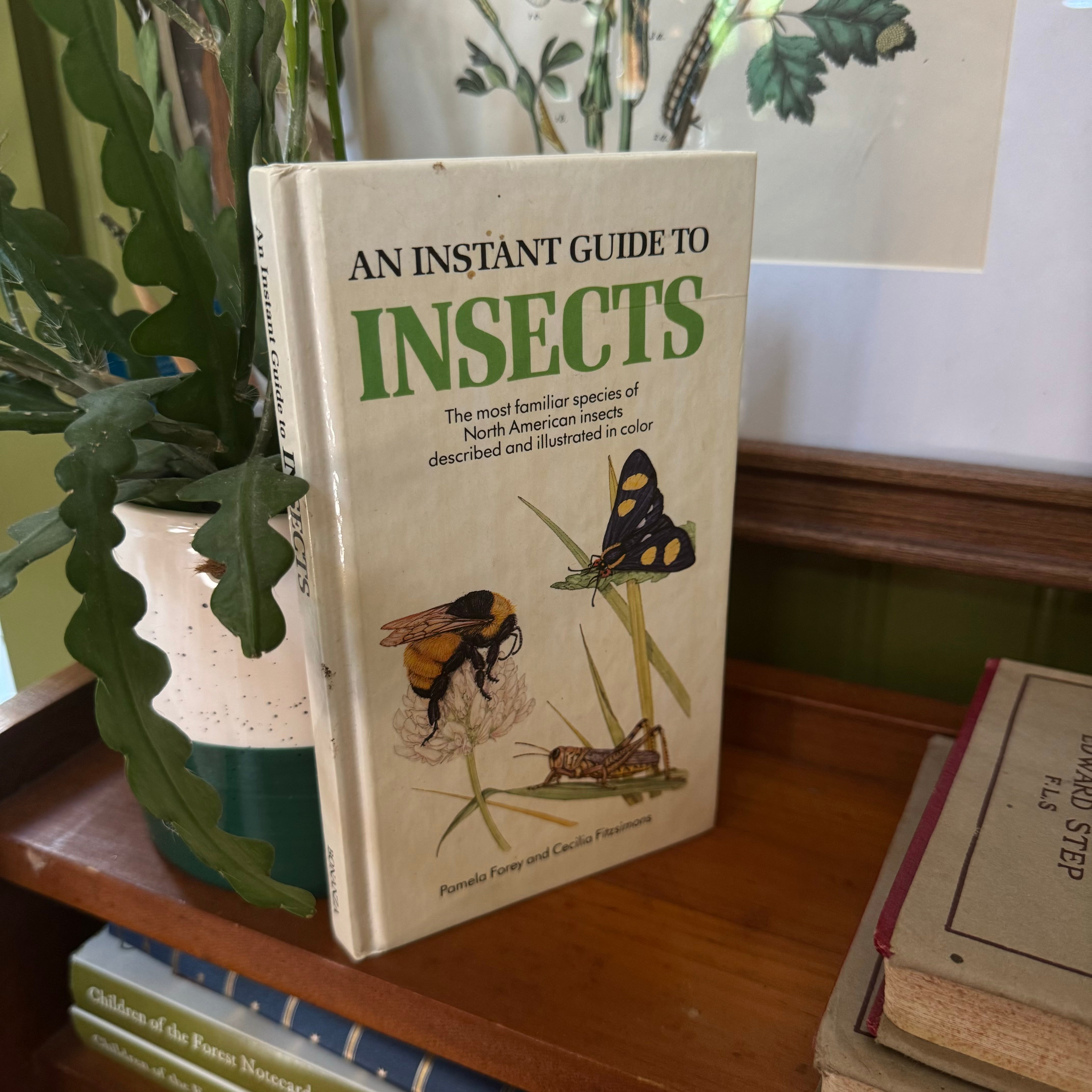 An Instant Guide to Insects