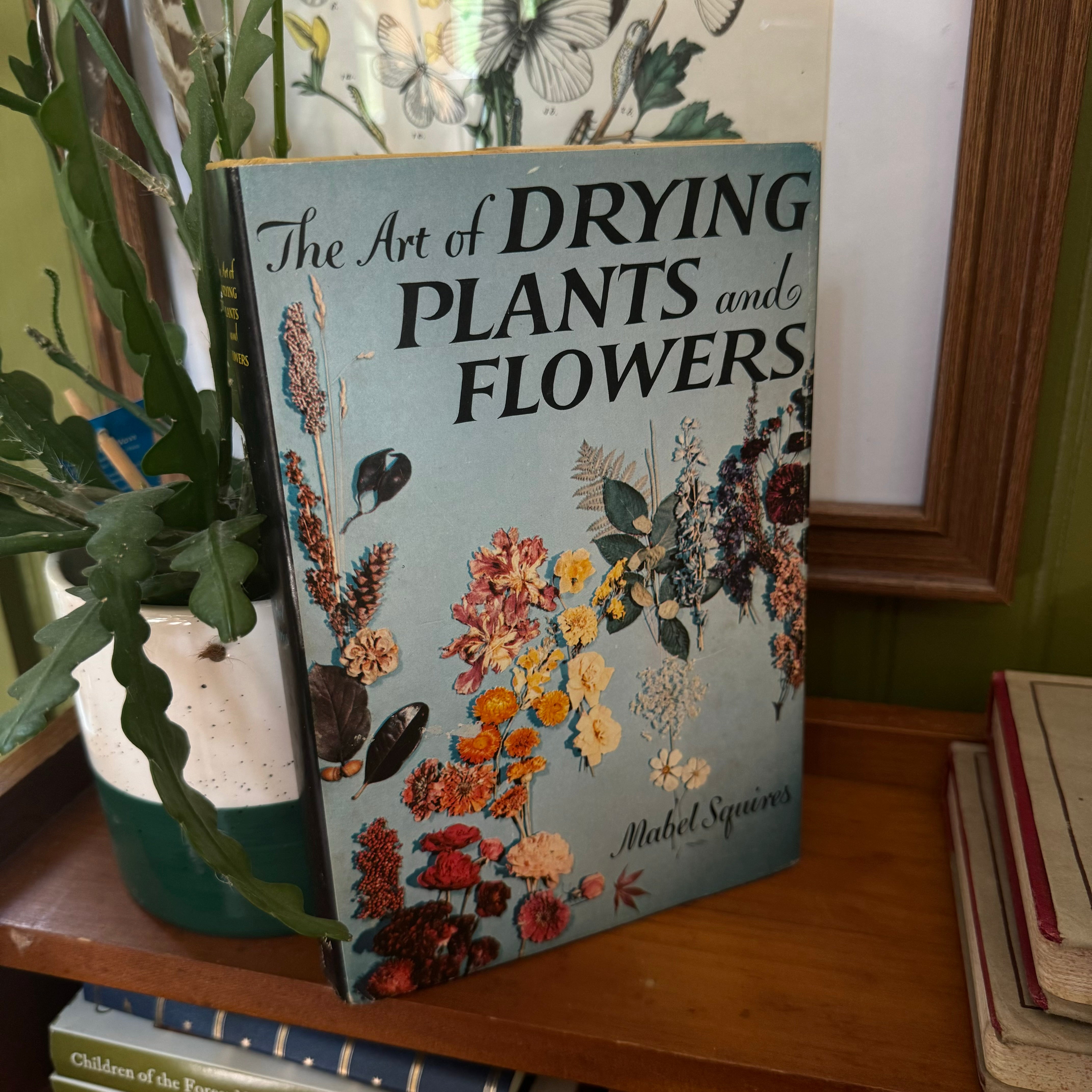 The Art of Drying Plants and Flowers Book