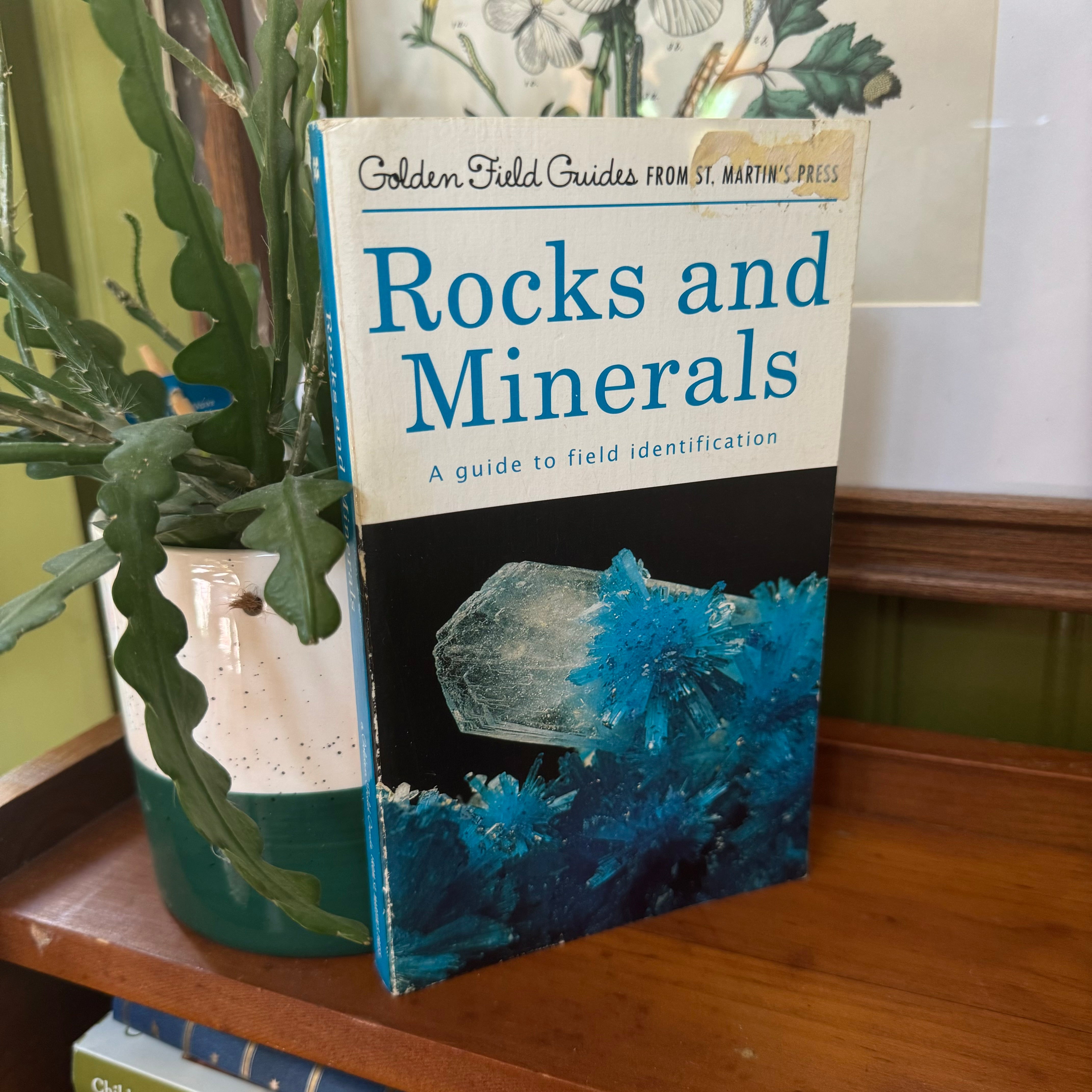 Golden Guide Rocks & Minerals