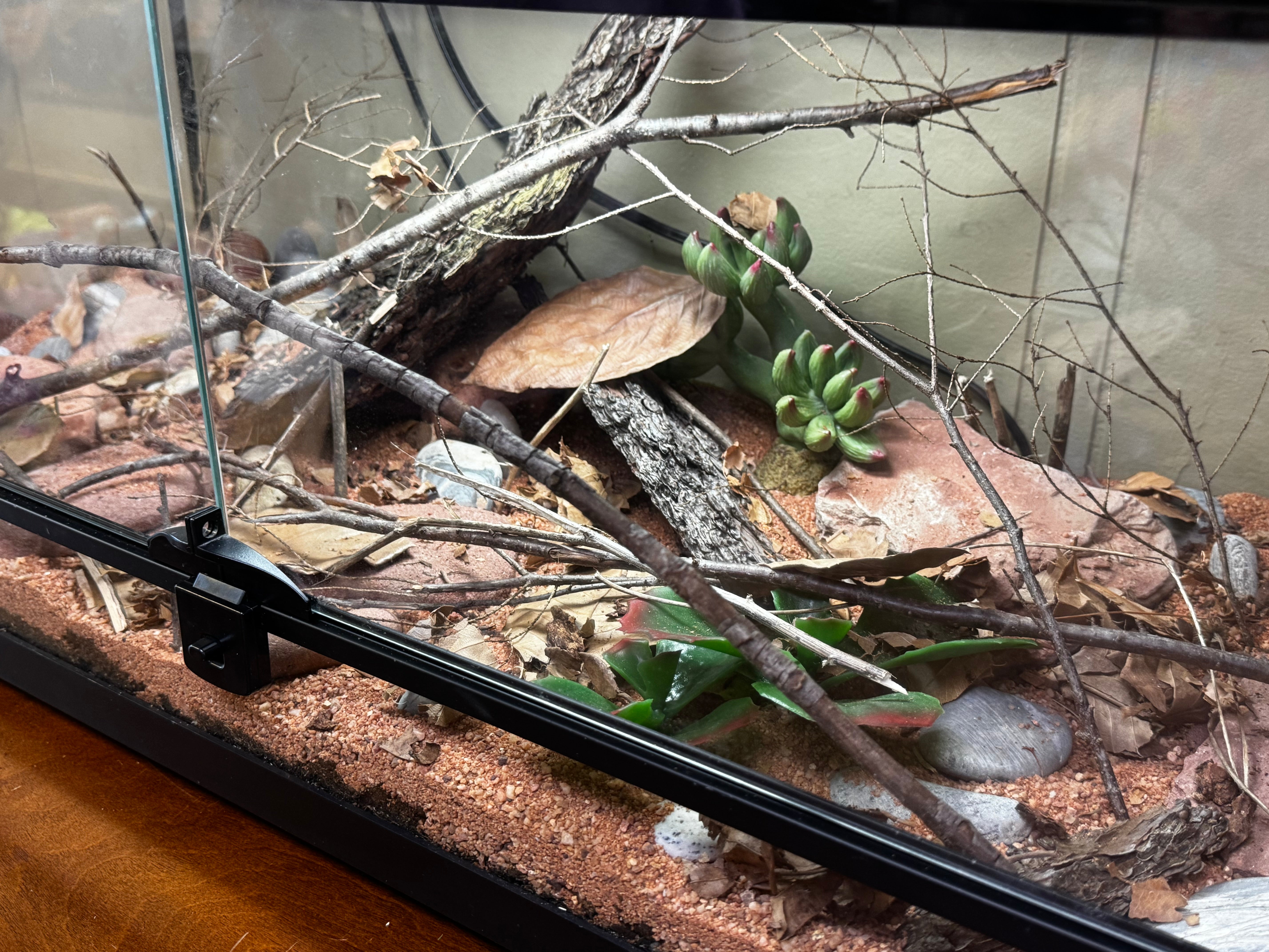 Help Us Raise Kids Who Care: Sponsor an Insect Habitat