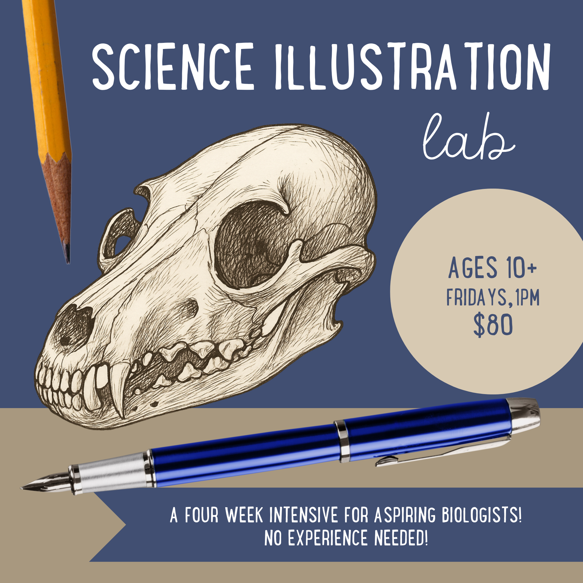 Science Illustration Lab