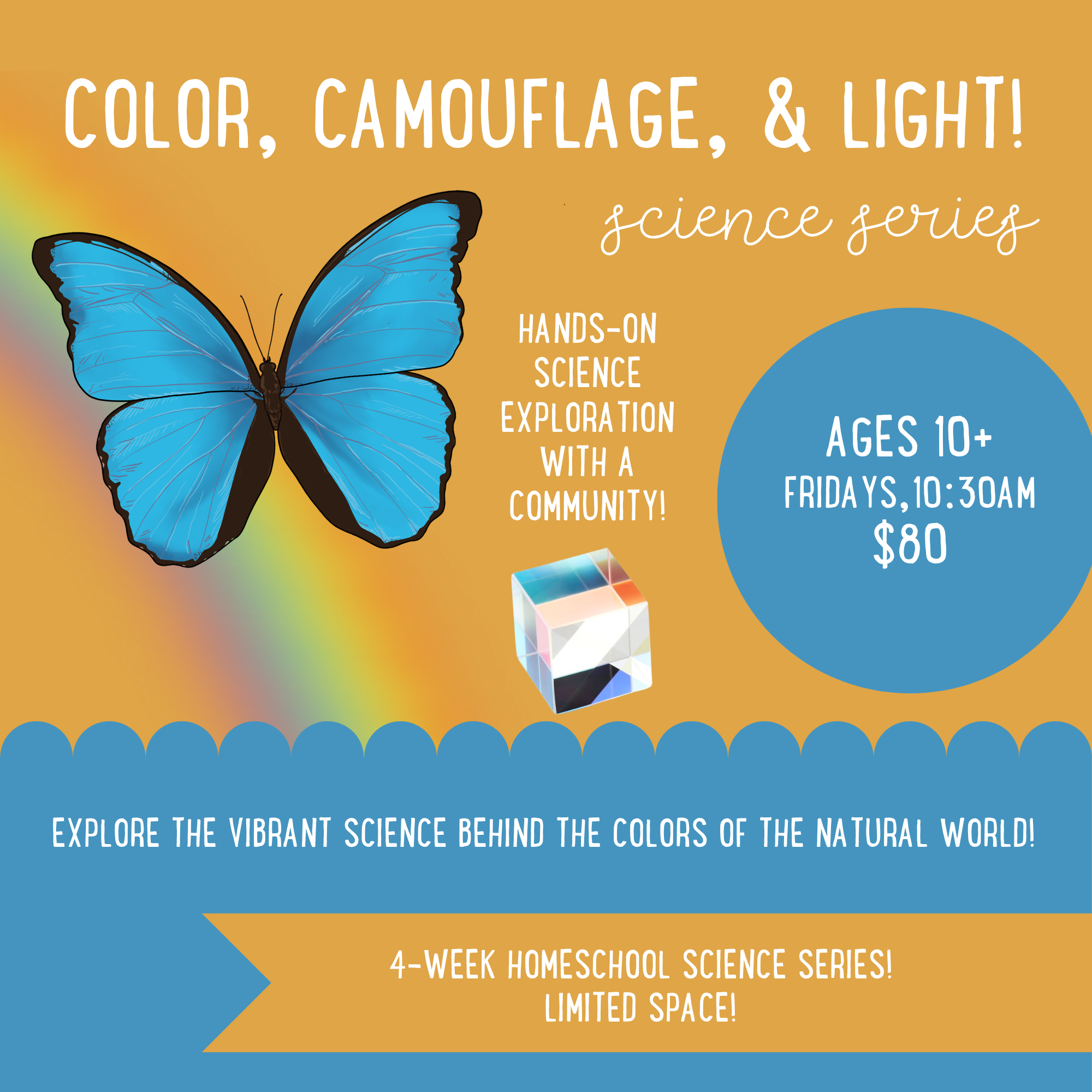 COLOR, CAMOUFLAGE, & LIGHT SCIENCE SERIES