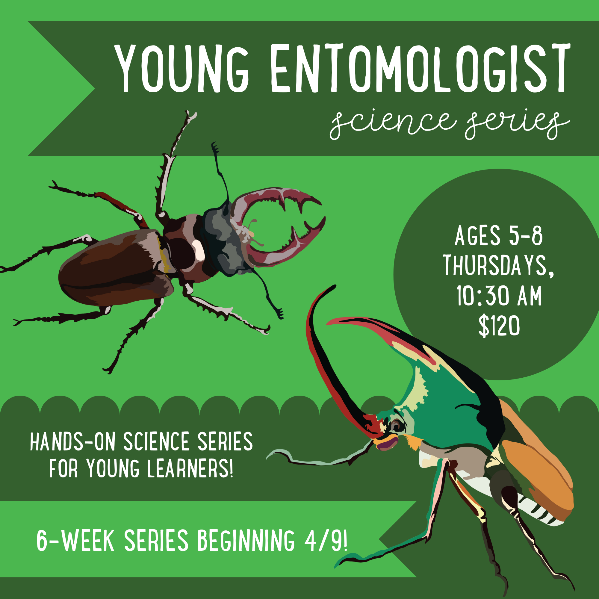 YOUNG ENTOMOLOGISTS: A 6-WEEK DISCOVERY OF BUGS, BEETLES, & BUTTERFLIES (SESSION 2)