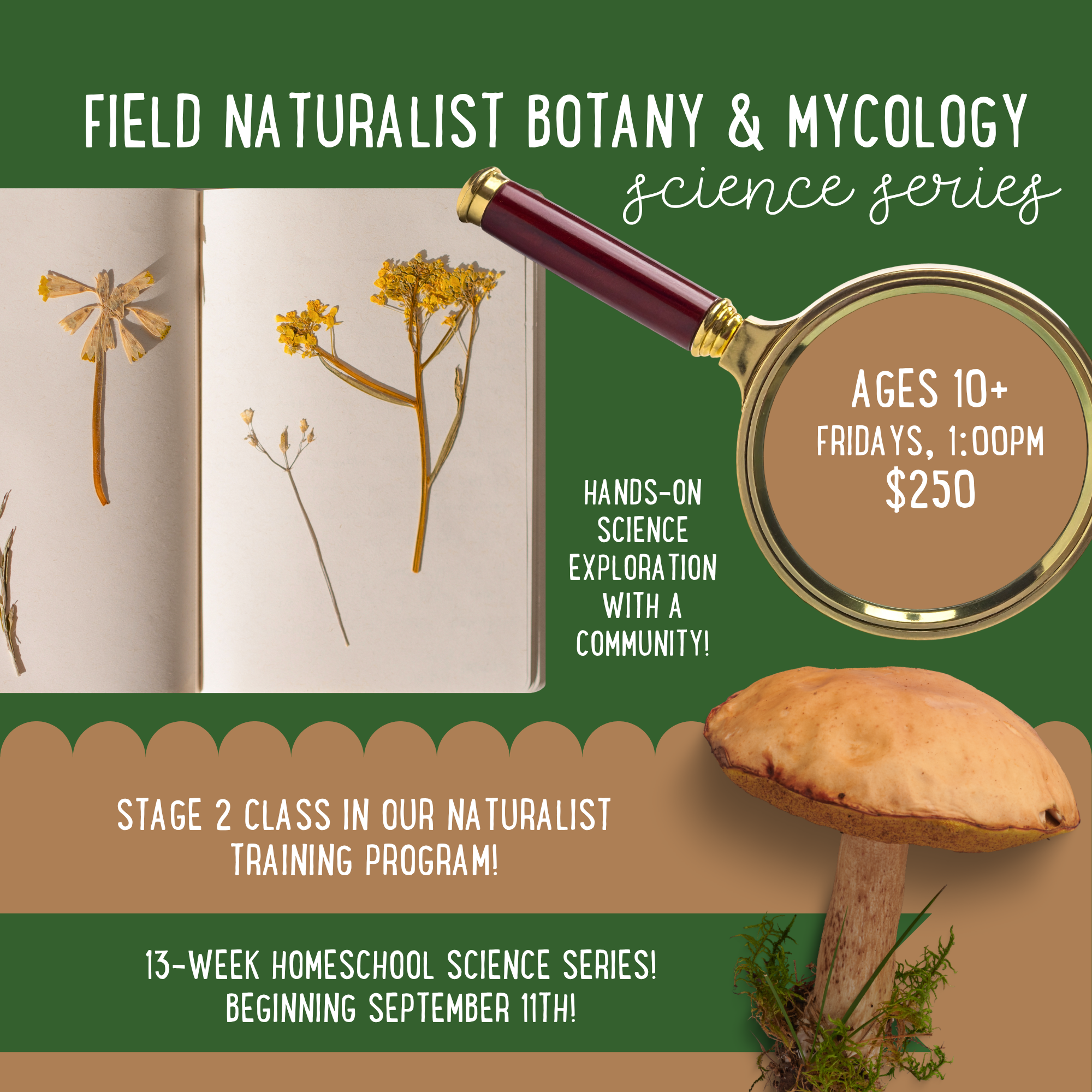 Field Naturalist Botany & Mycology Science Series (Stage 2 of The Naturalist Training Program)