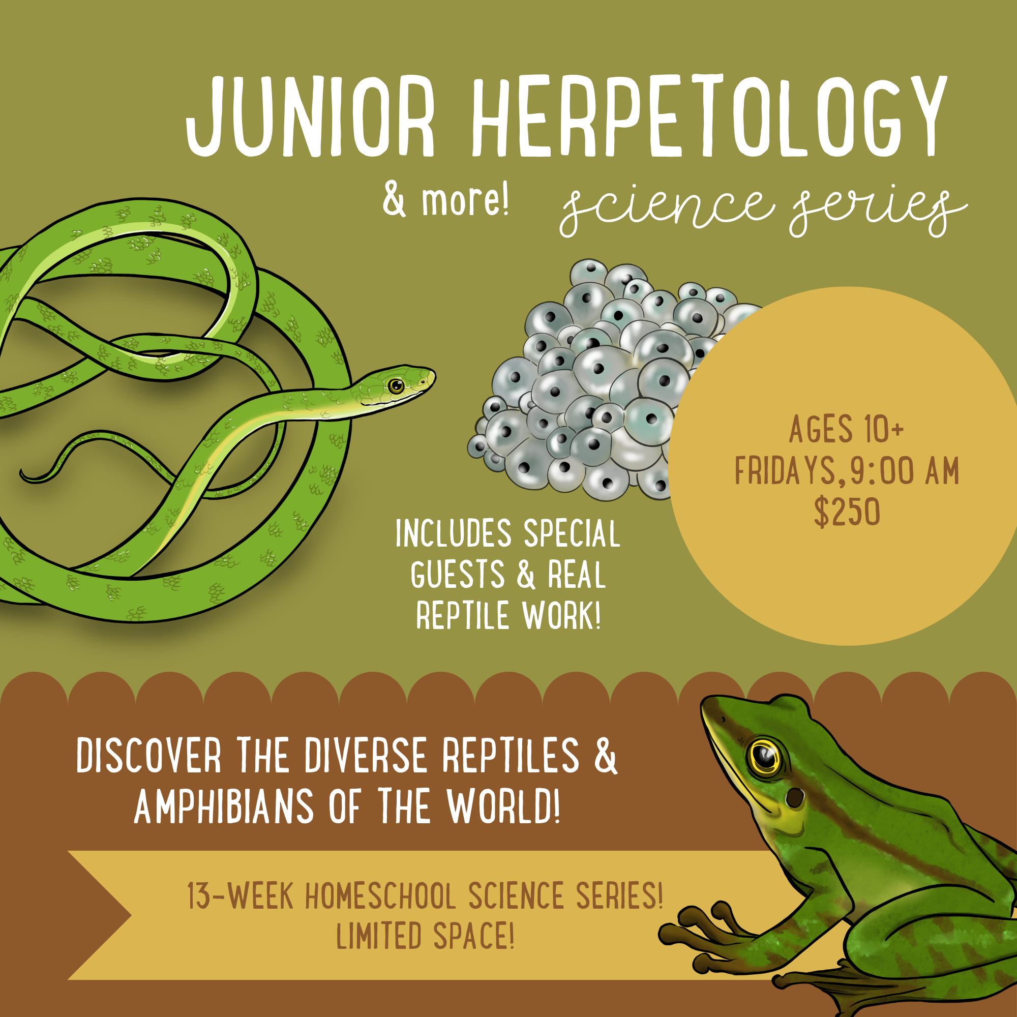 Junior Herpetology (& more!) Homeschool Science Series