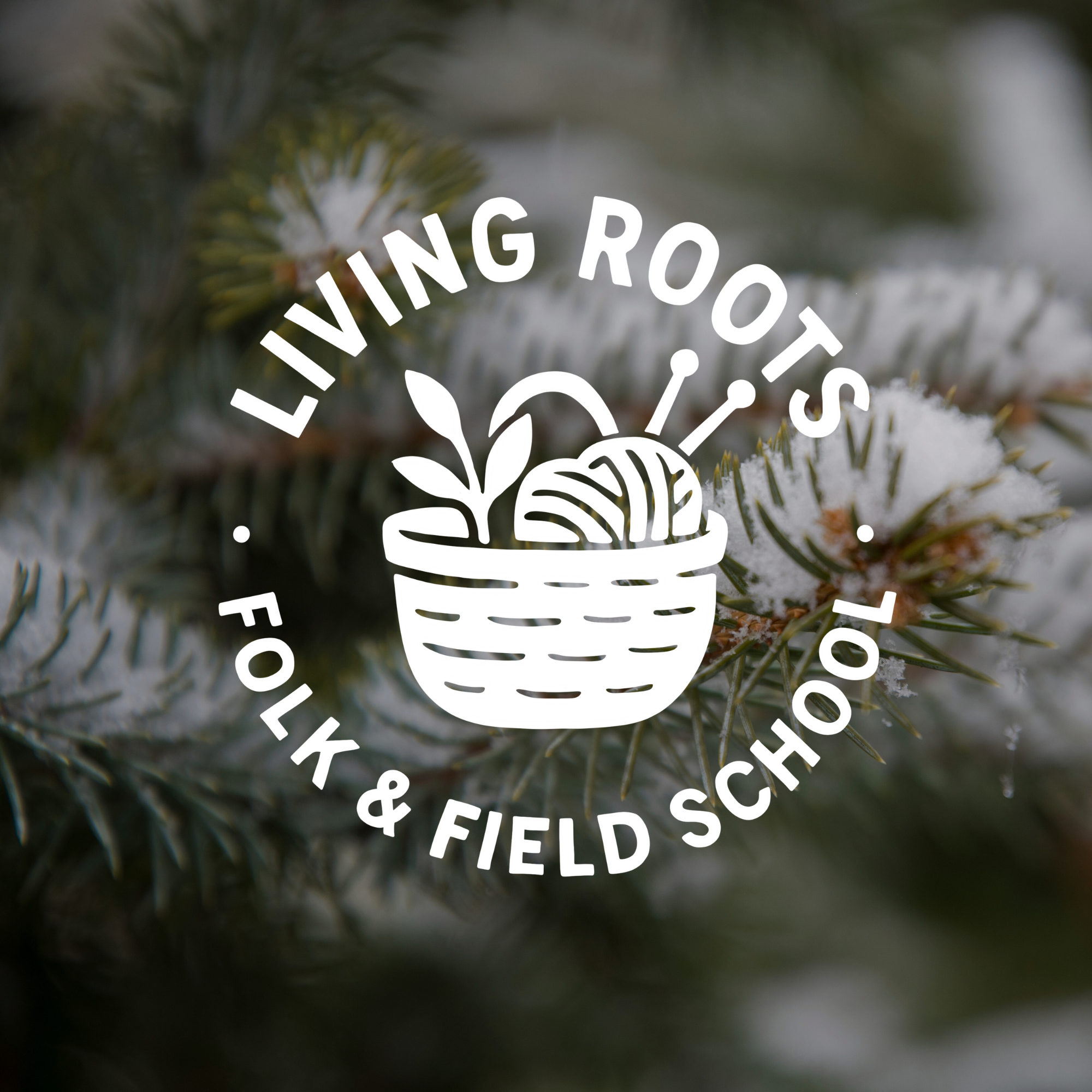 AM SESSION: Living Roots Folk & Field School: Winter Session