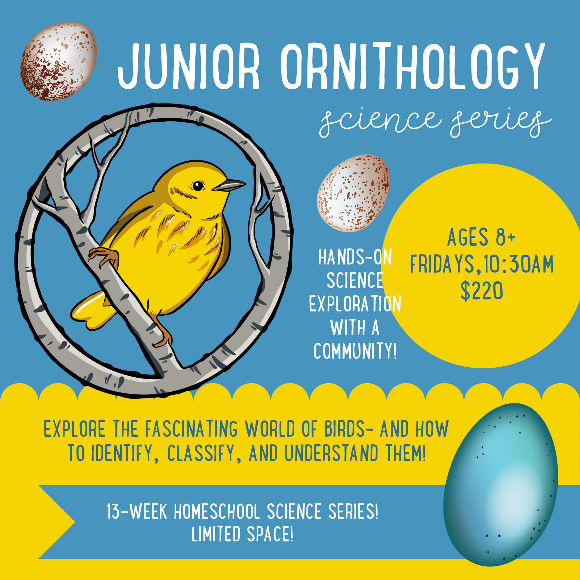 JUNIOR ORNITHOLOGY HOMESCHOOL SCIENCE SERIES