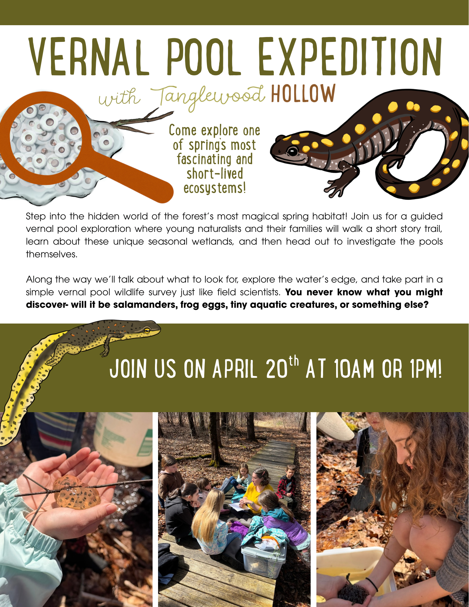Vernal Pool Expedition
