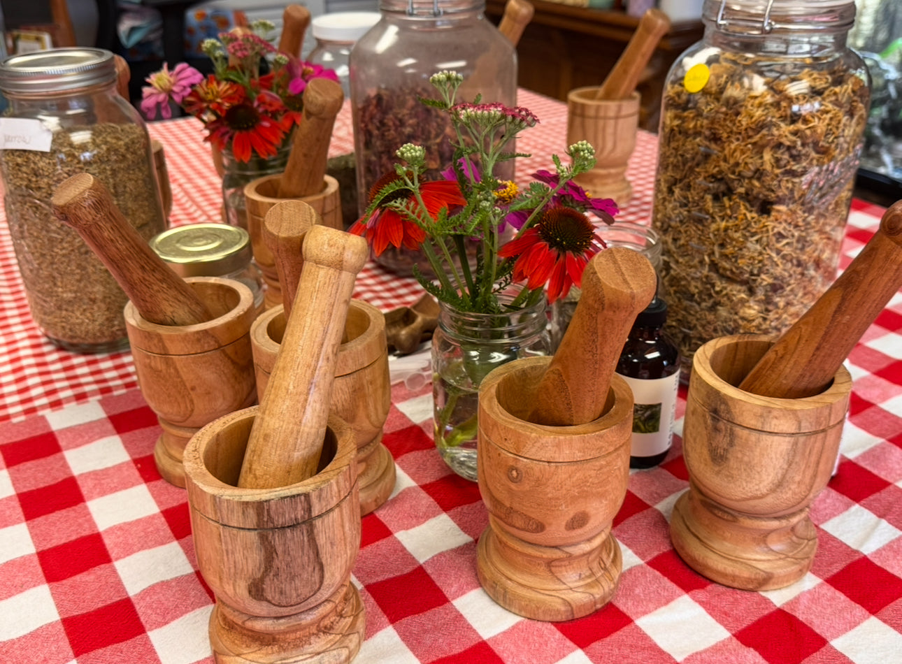 The Young Herbalists Guild: Monthly Herbal Club for Ages 10+