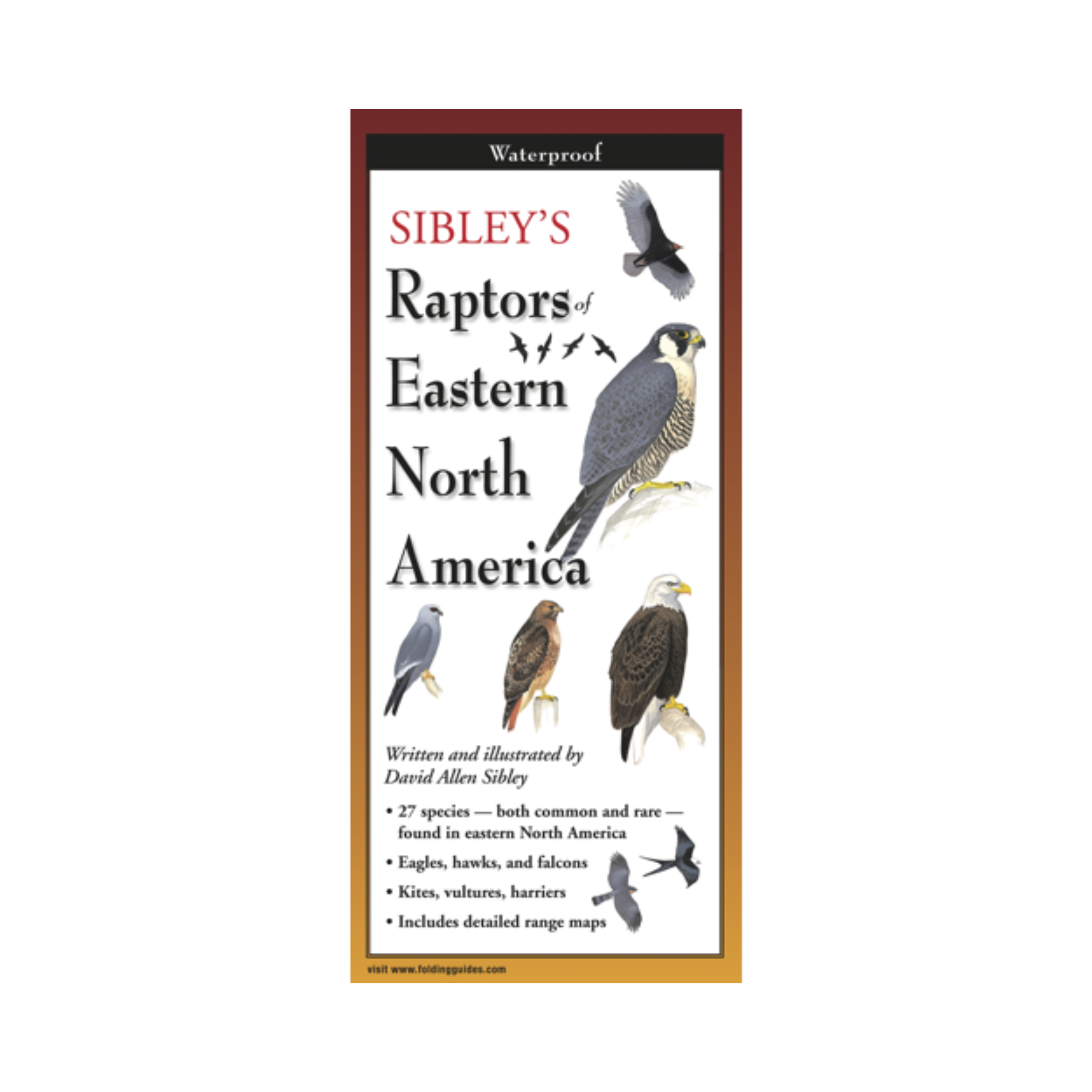 Sibley's Raptors of Eastern N.A.
