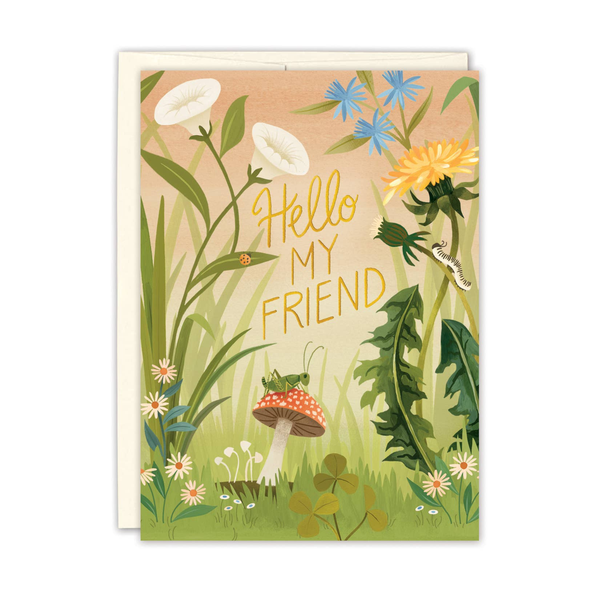 Hello My Friend Friendship Card