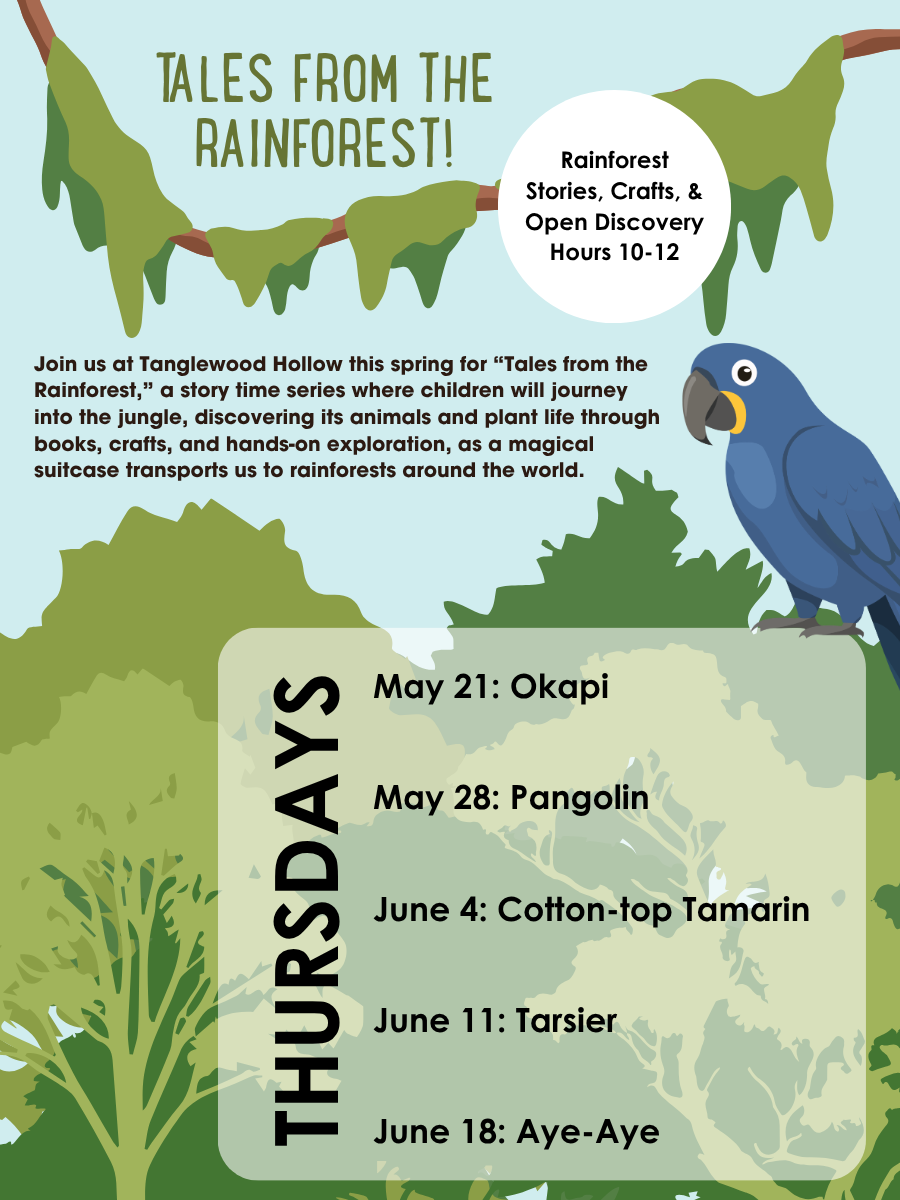 Tales from the Rainforest