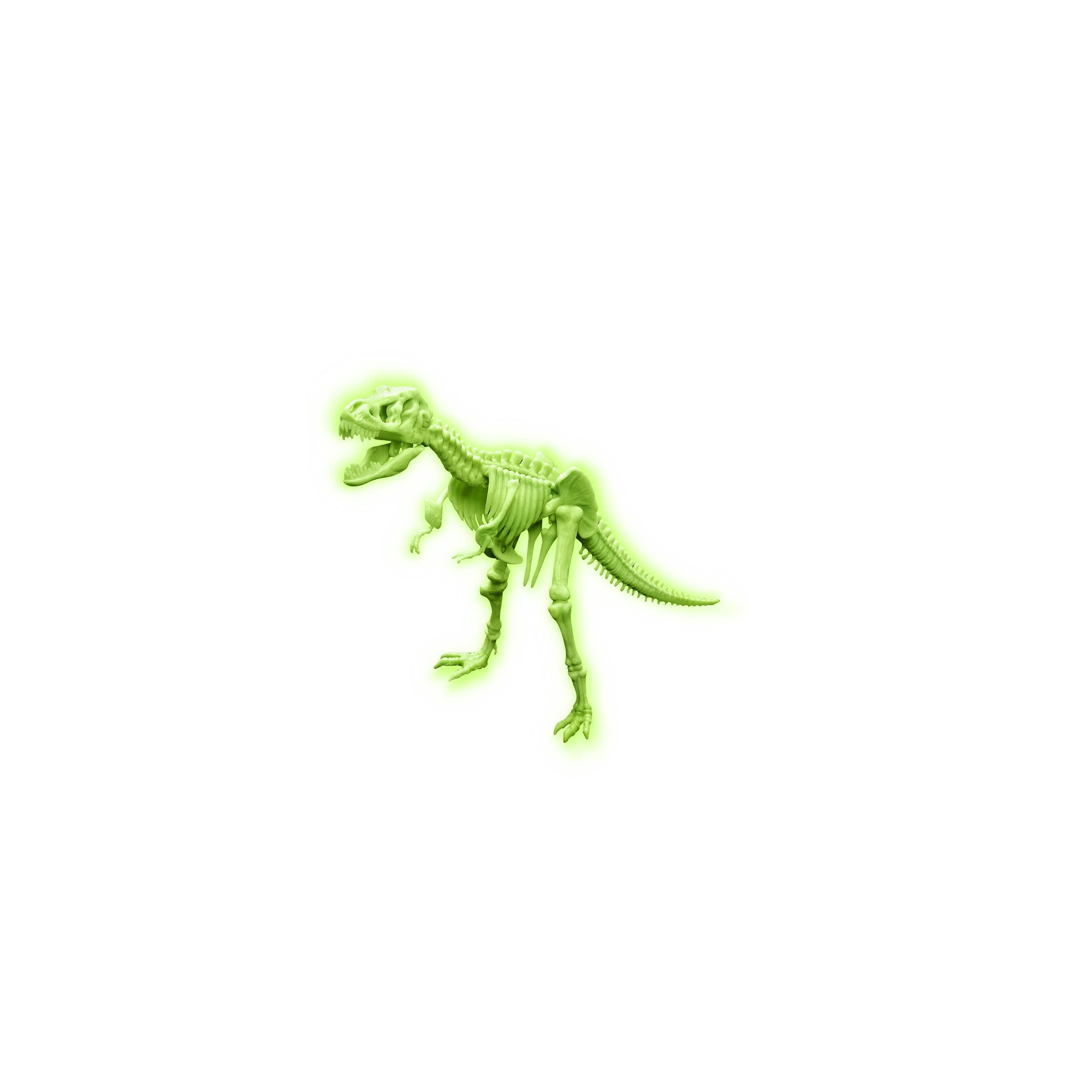 T-Rex Skeleton Diy Kit-Puzzle