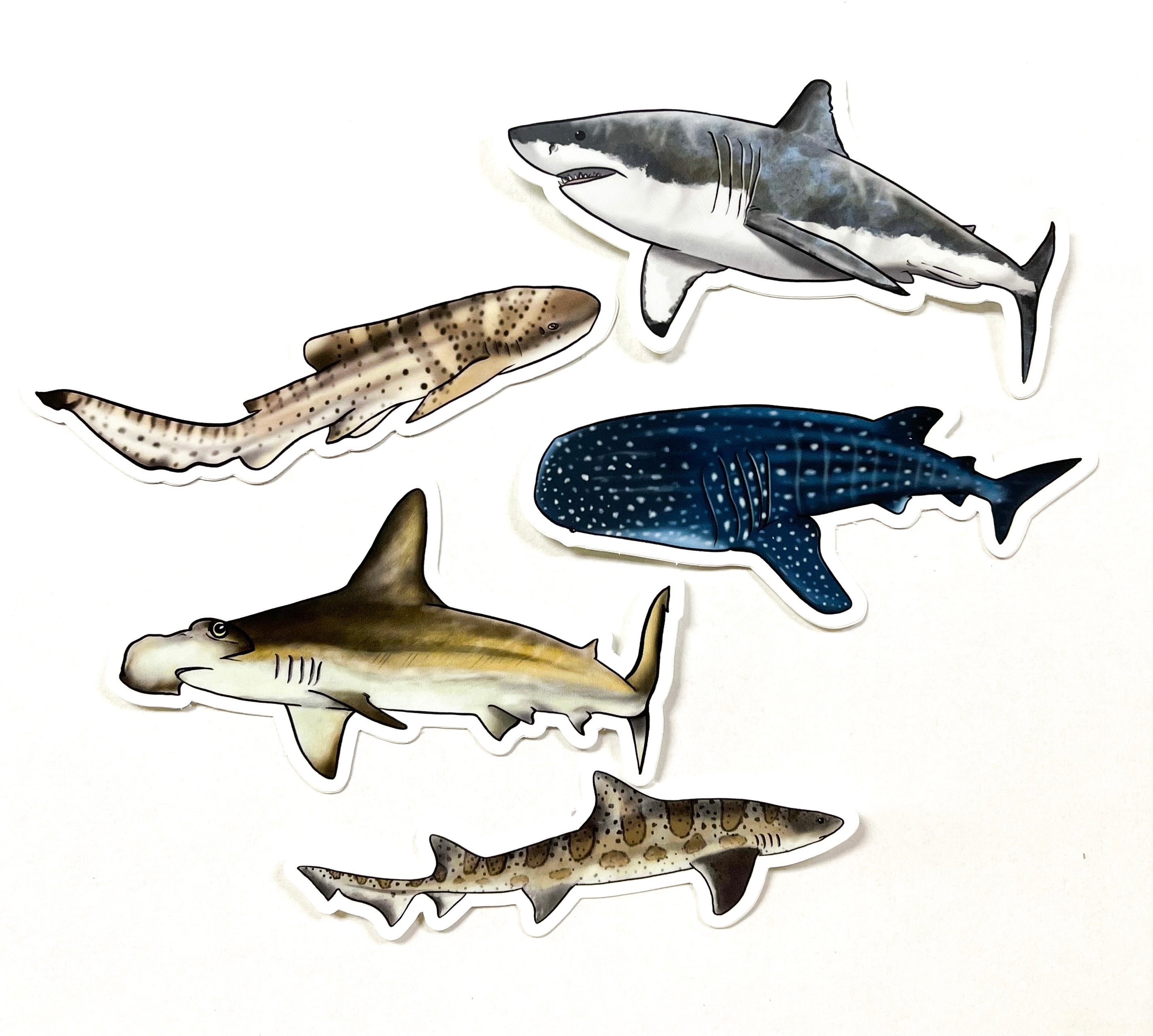 Shark Sticker Pack