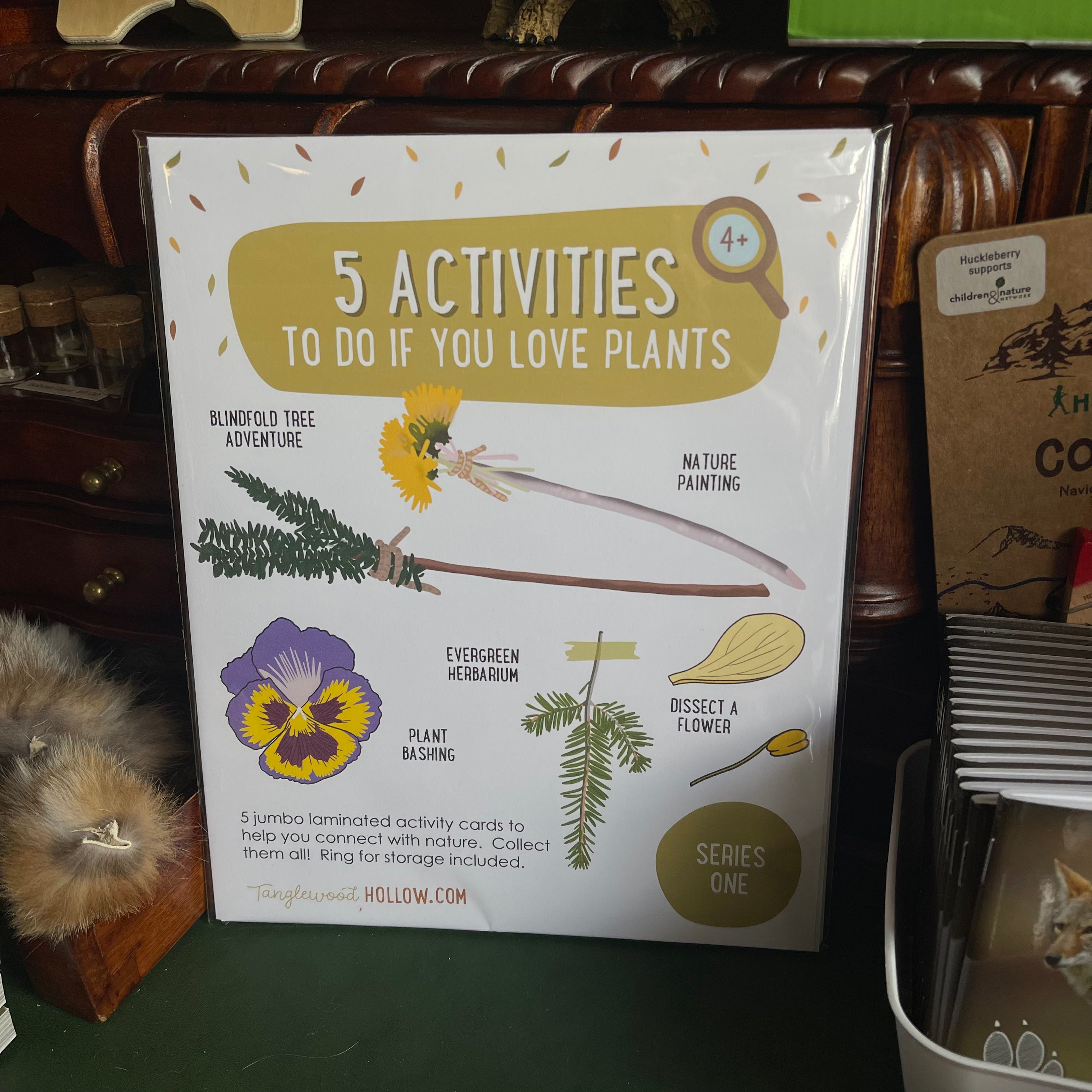 Five Activities To Do If You Love Plants
