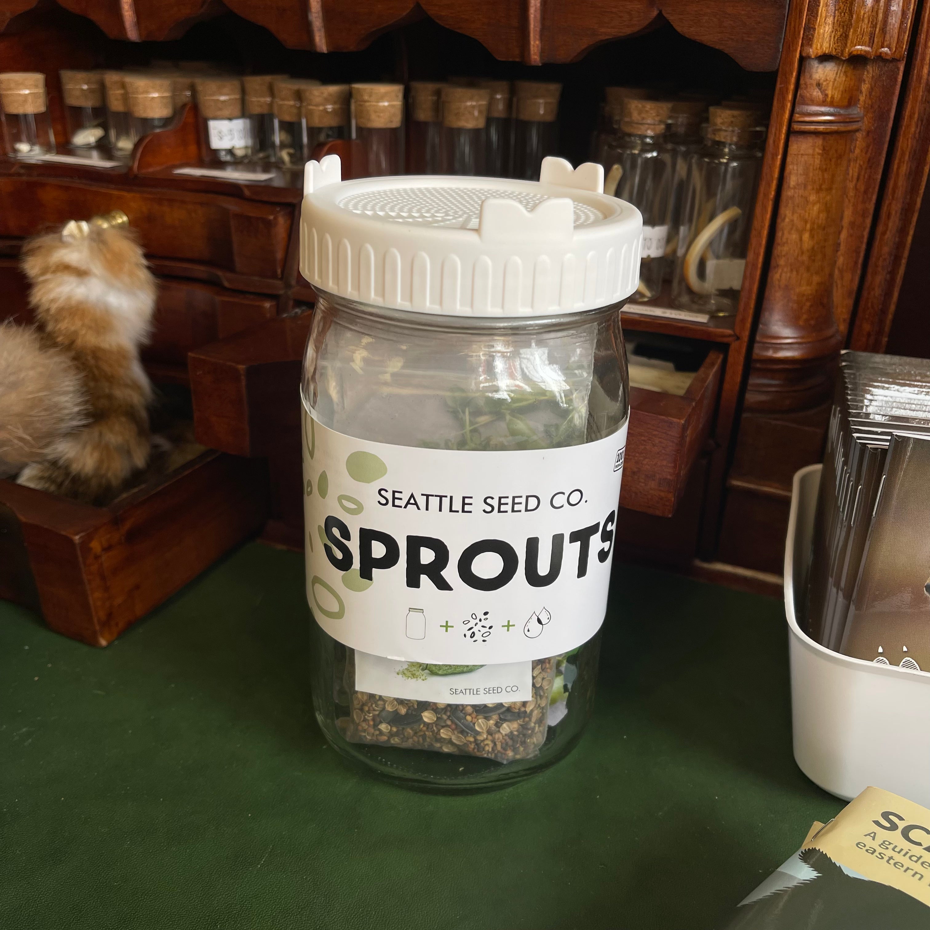 Sprouts Kit